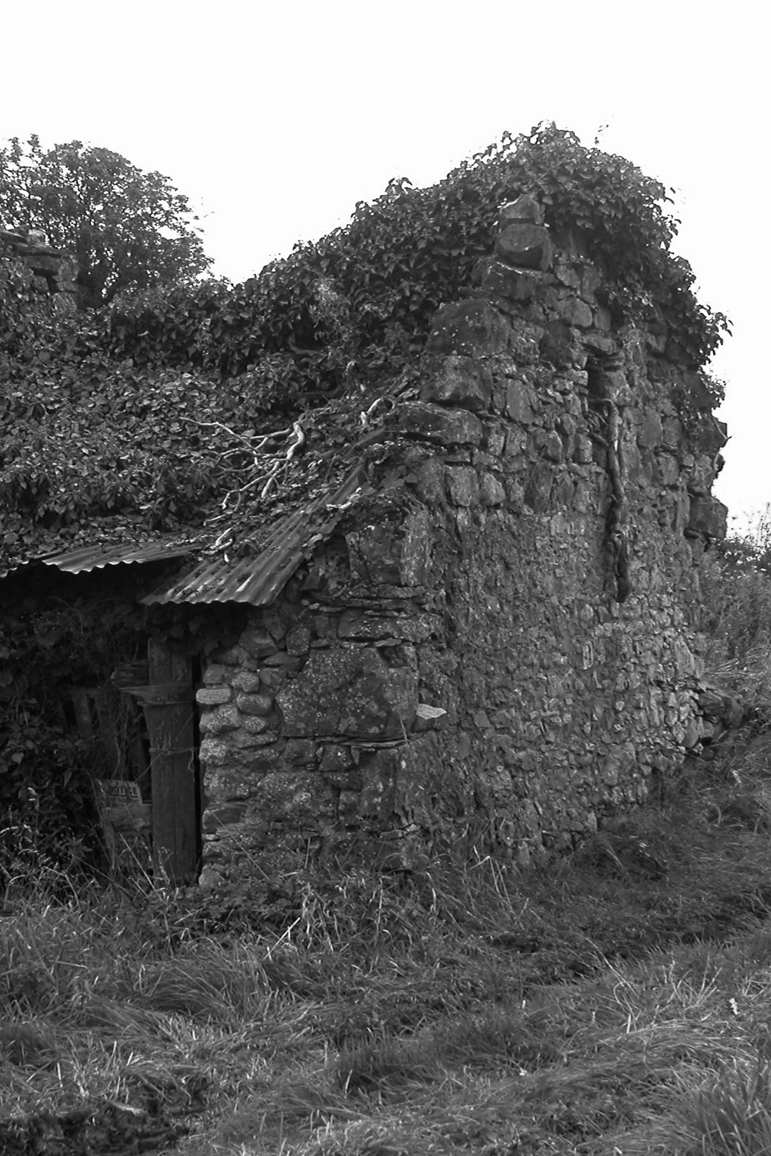 Tri-cottage.jpg