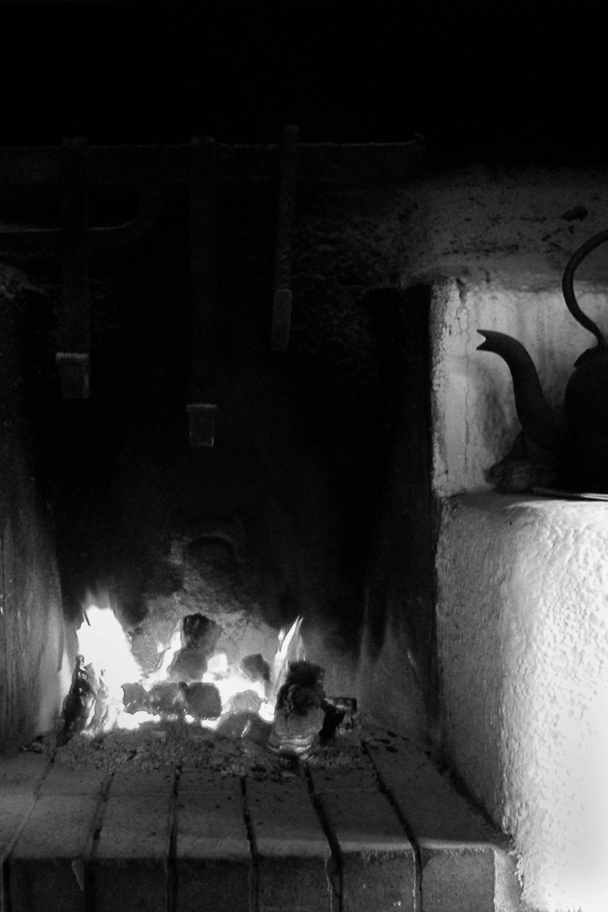 Tri-2-tea and fire.jpg