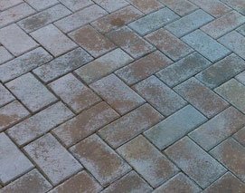 IMG_1771.jpeg