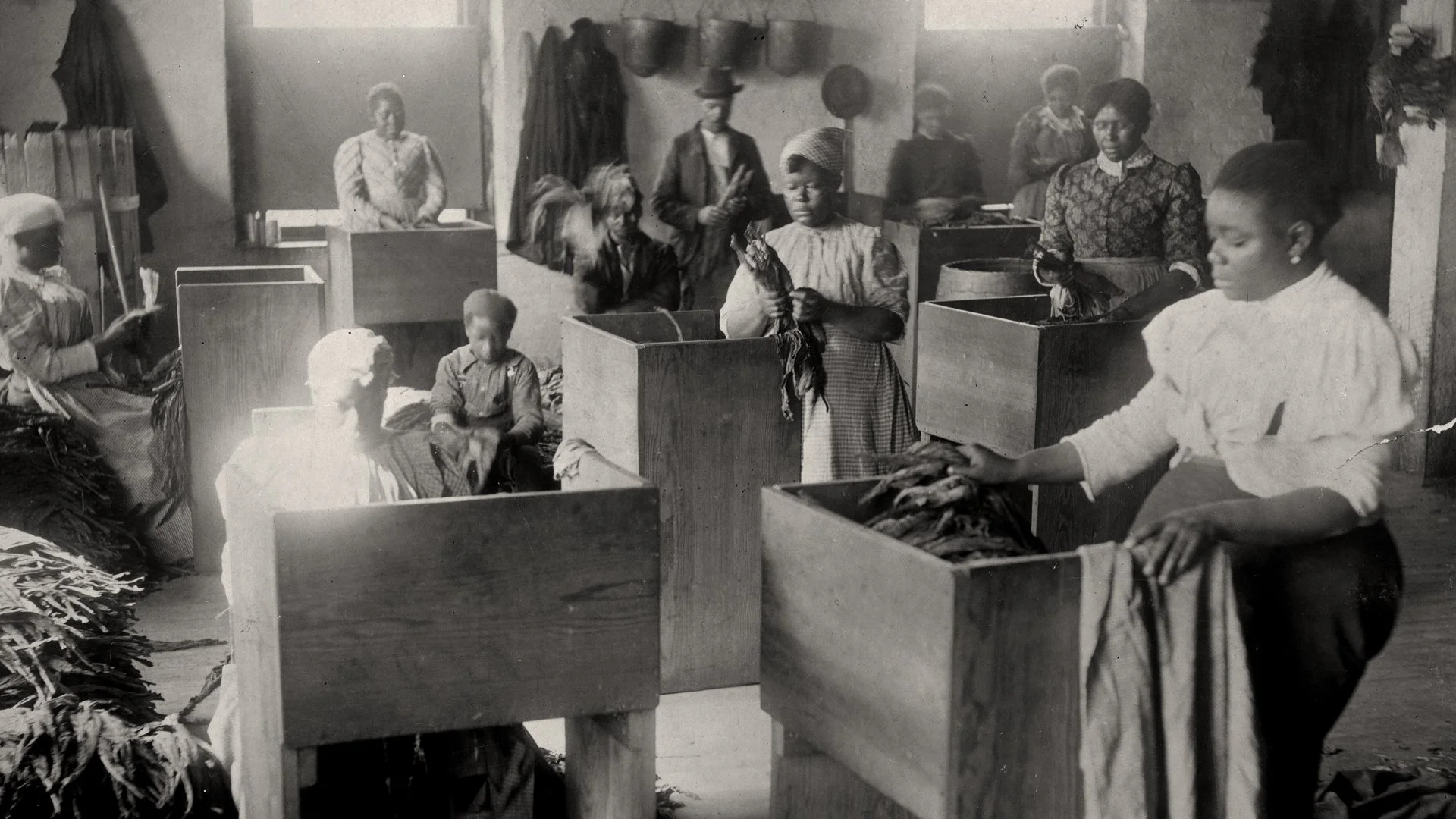 Tobacco workers, early 1900s