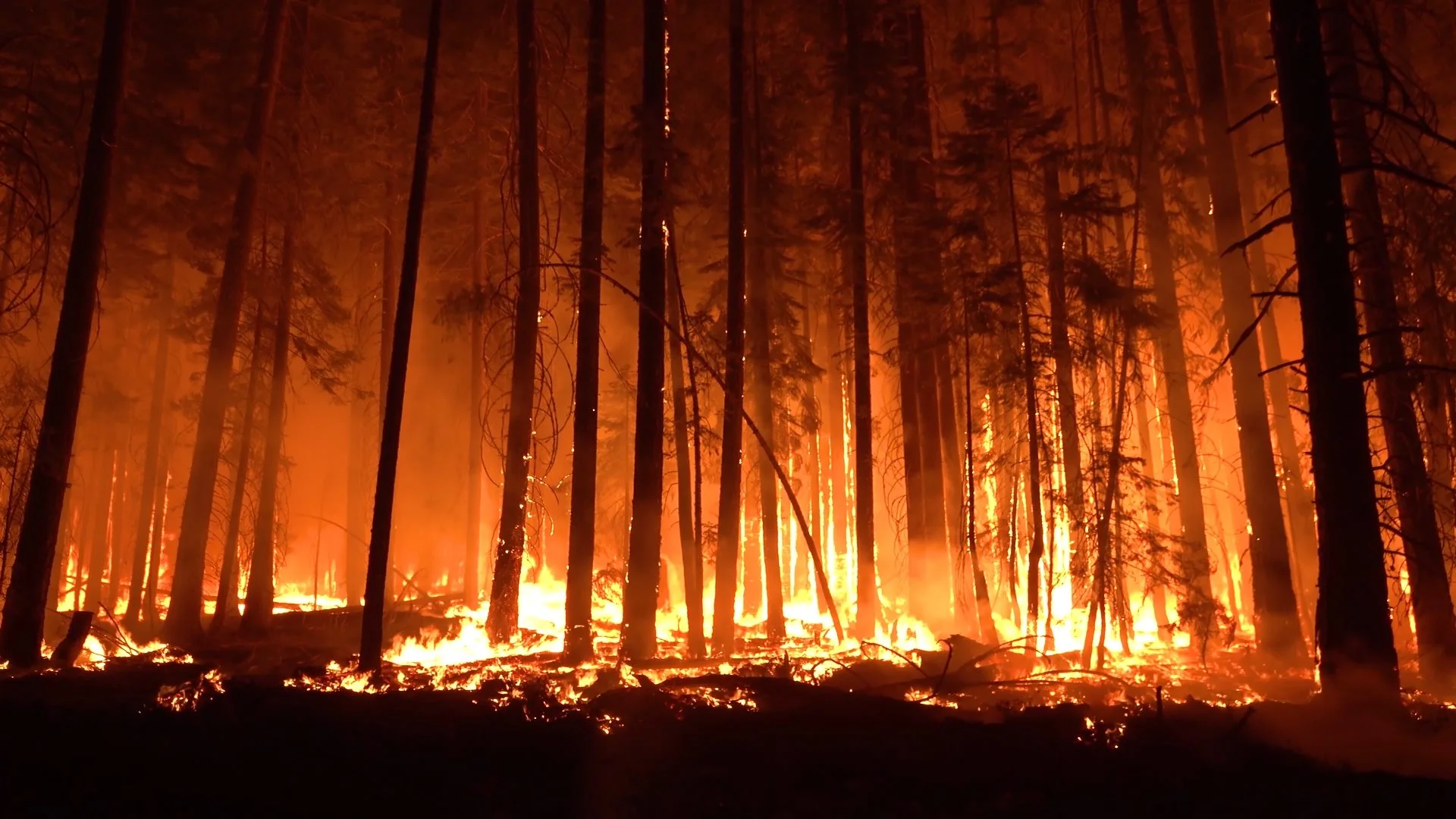 Wildfire, Los Angeles