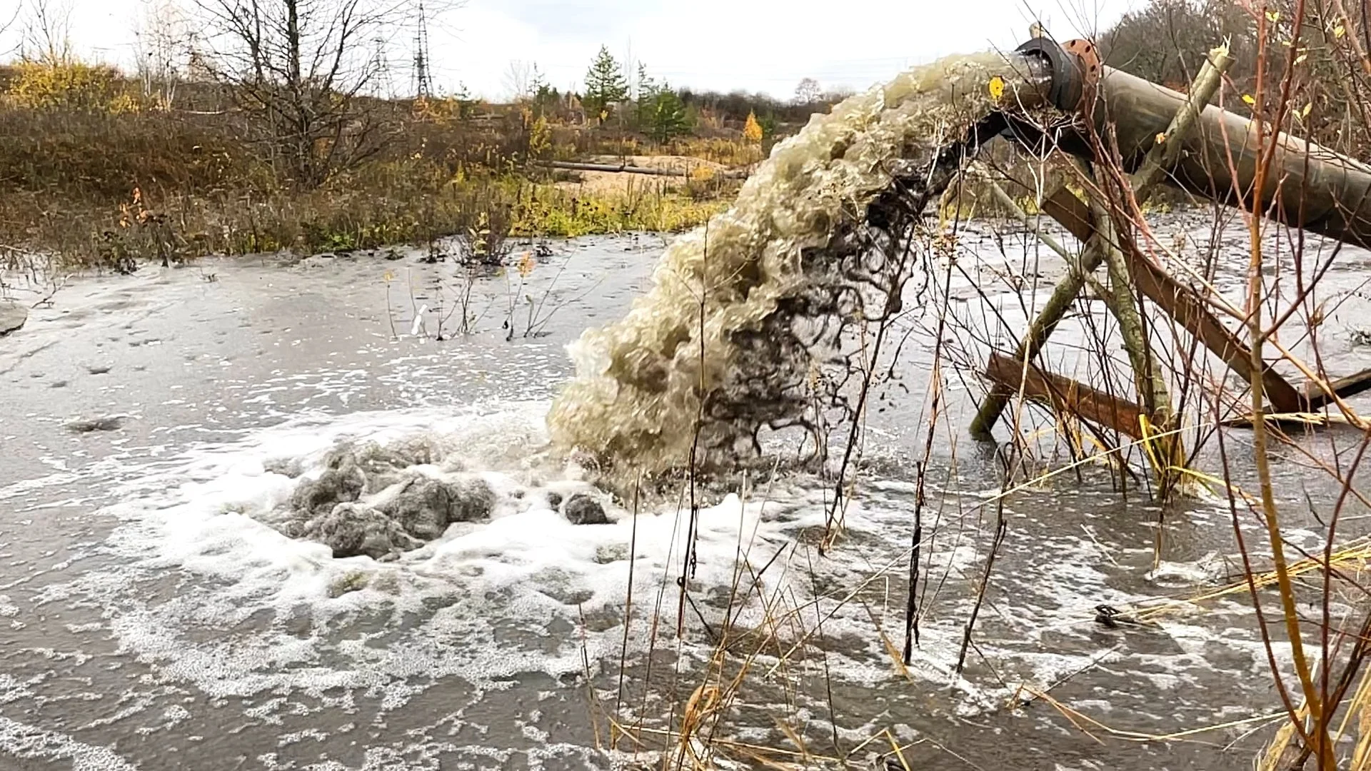 Water pollution