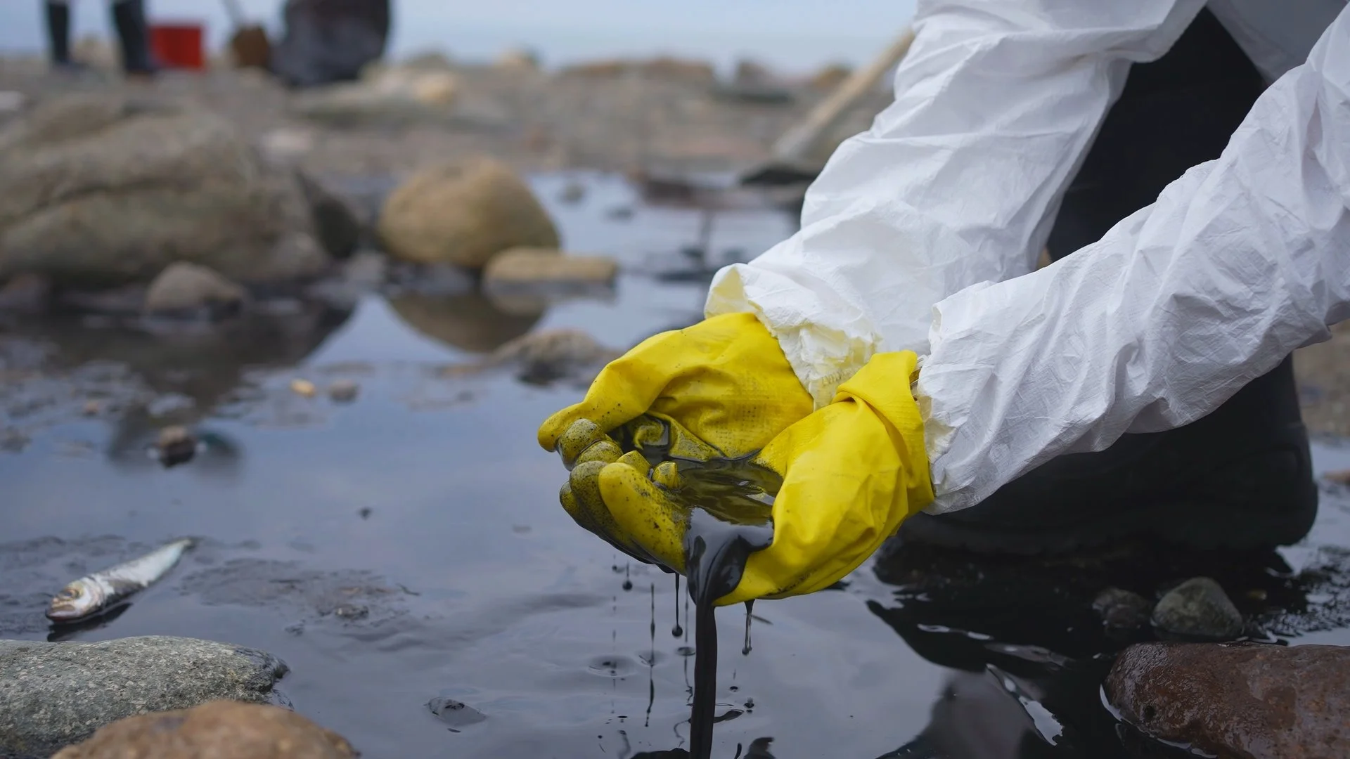 Oil spill