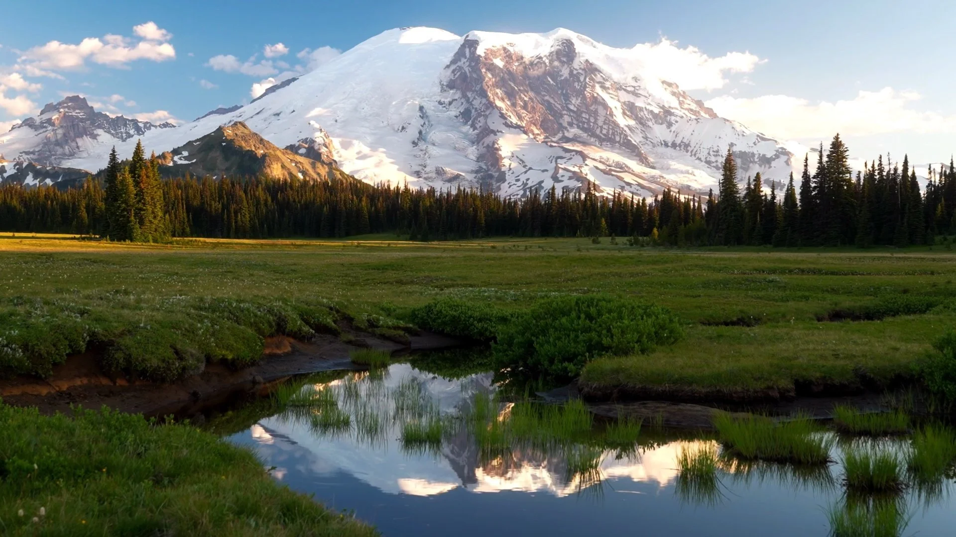 Mt. Rainier, Washington