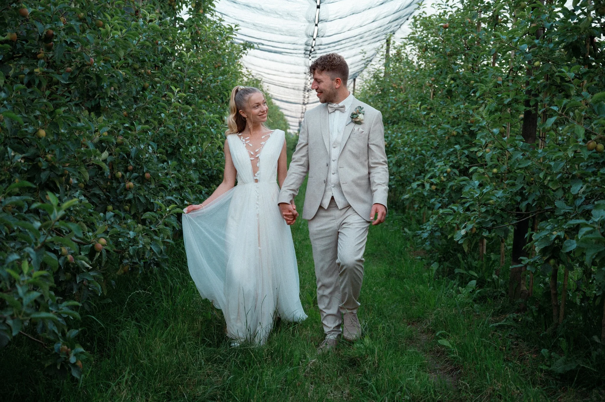 Ein junges Paar in Hochzeitskleidung spaziert Hand in Hand durch eine Obstplantage, umgeben von grünen Bäumen und Äpfeln, unter einer Teichfolie gespanntes Dach. Sie lächeln sich liebevoll an.