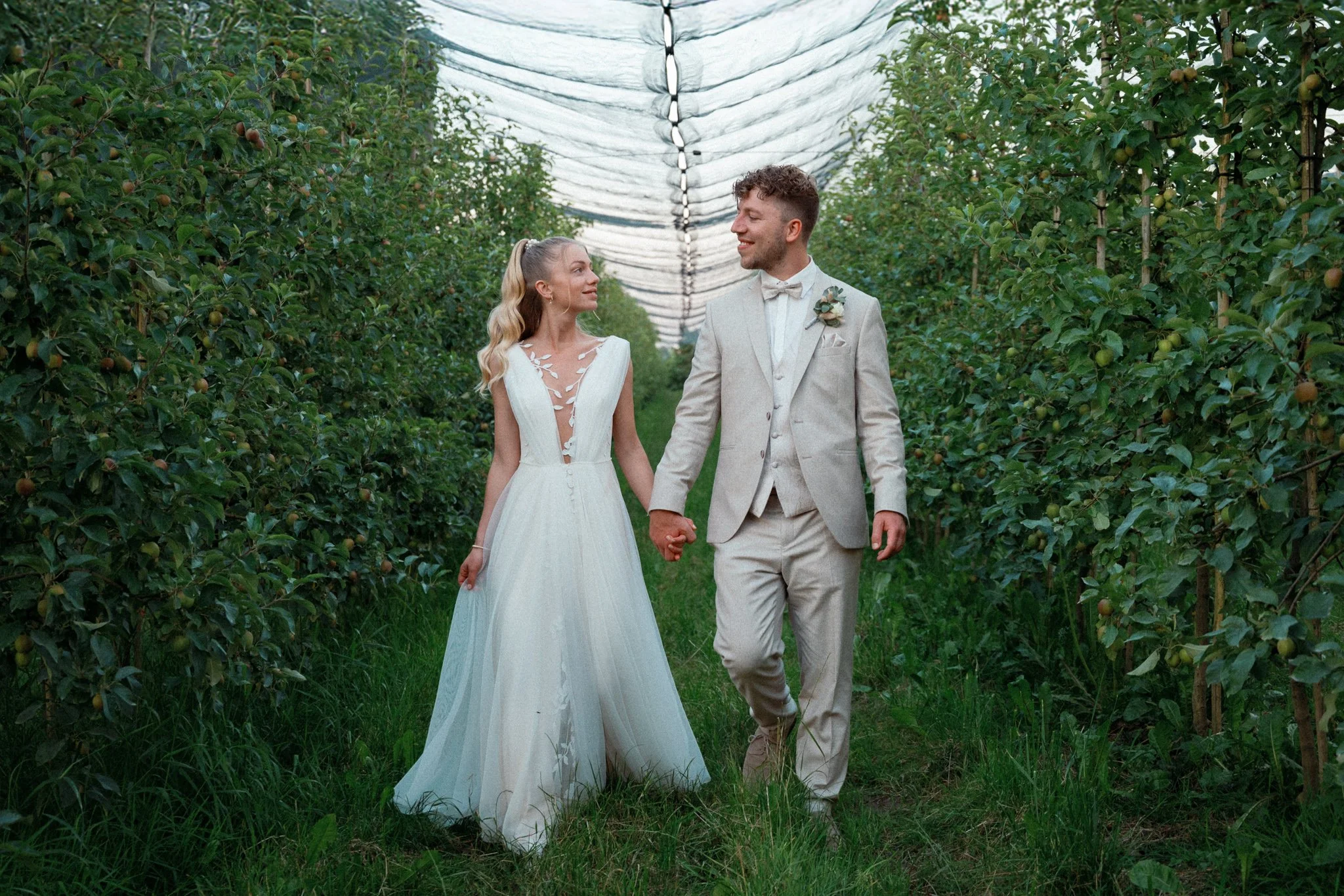 Ein Brautpaar im Hochzeitstag, das Hand in Hand in einem Obstgarten spaziert, umgeben von grünen Apfelbäumen.