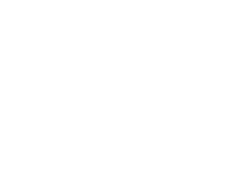 FSR inc.