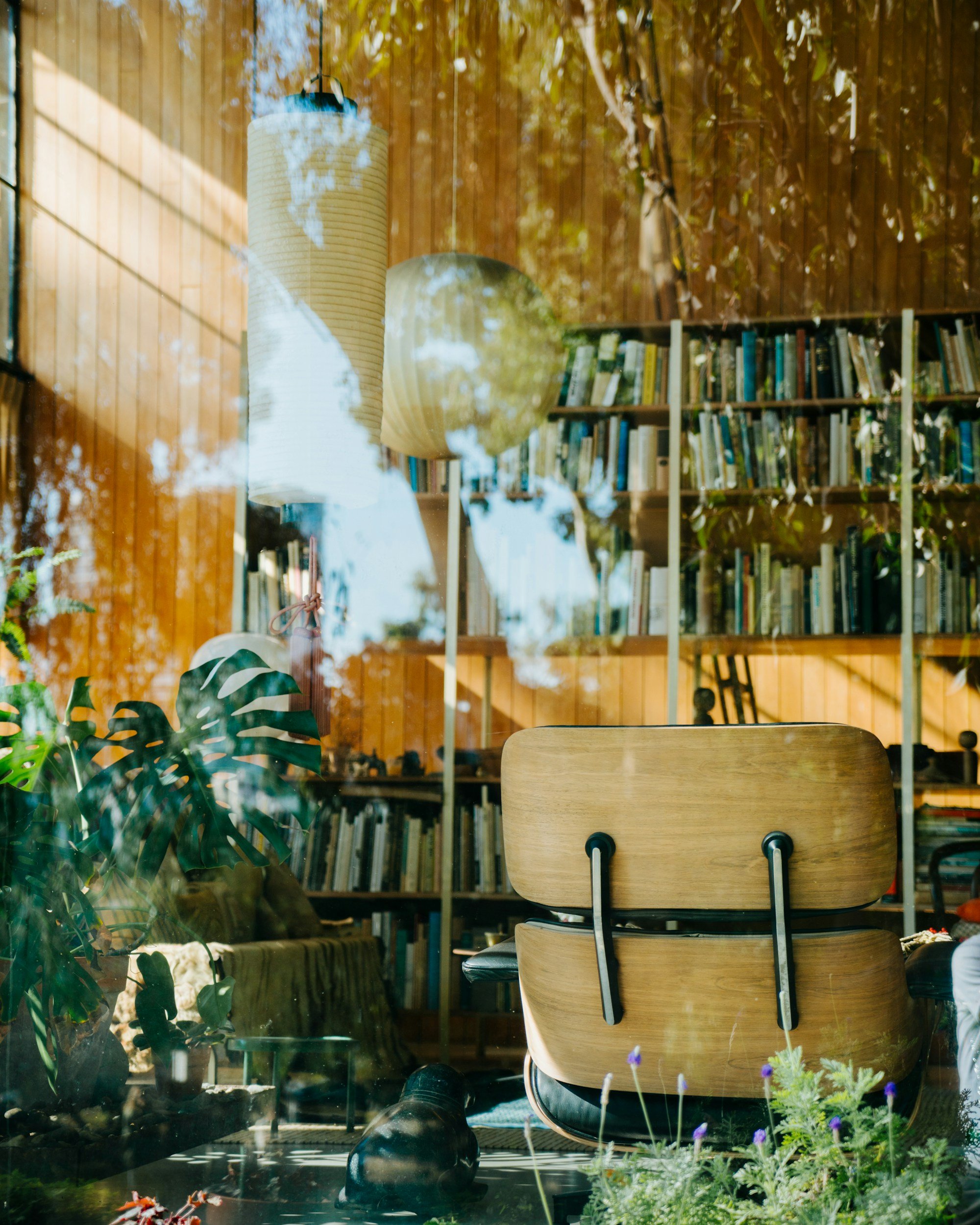 View of a window with a reflection of leafy trees outside. Inside, there is a wooden chair, a bookshelf filled with books, hanging paper lantern, and plants with purple flowers.