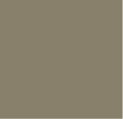 A plain, taupe square with no distinct objects or details.