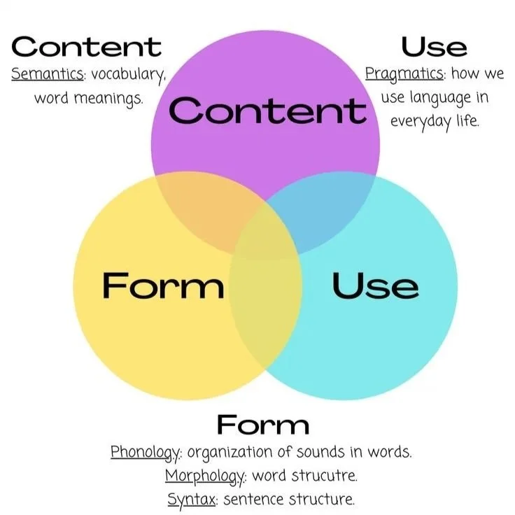 A Venn diagram showing the relationship between content, form, and use in language. Content encompasses semantics, use involves pragmatics, and form includes phonology, morphology, and syntax.