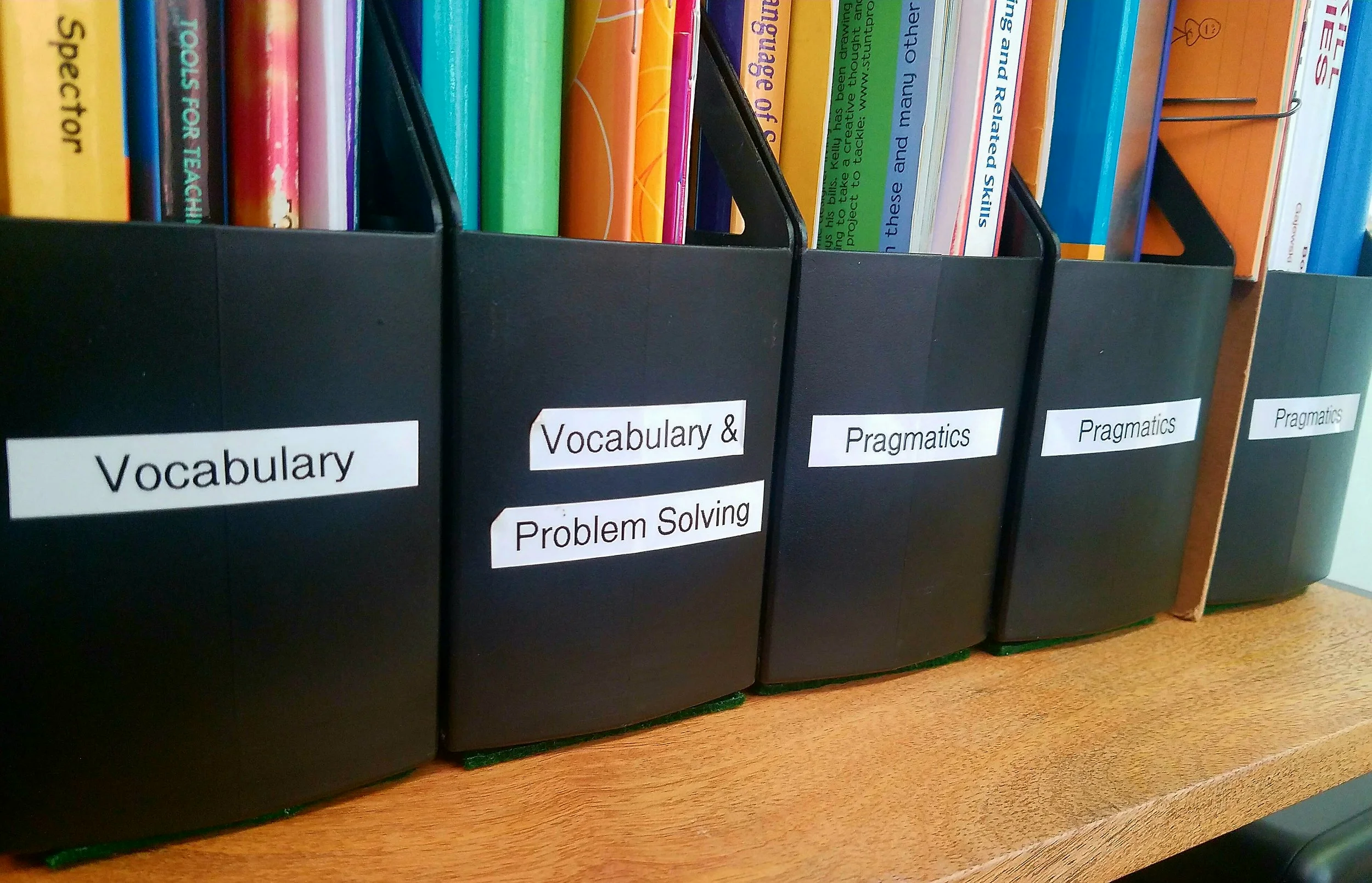 Black binders labeled 'Vocabulary,' 'Vocabulary & Problem Solving,' and 'Pragmatics' on a shelf with books above, on a wooden surface.