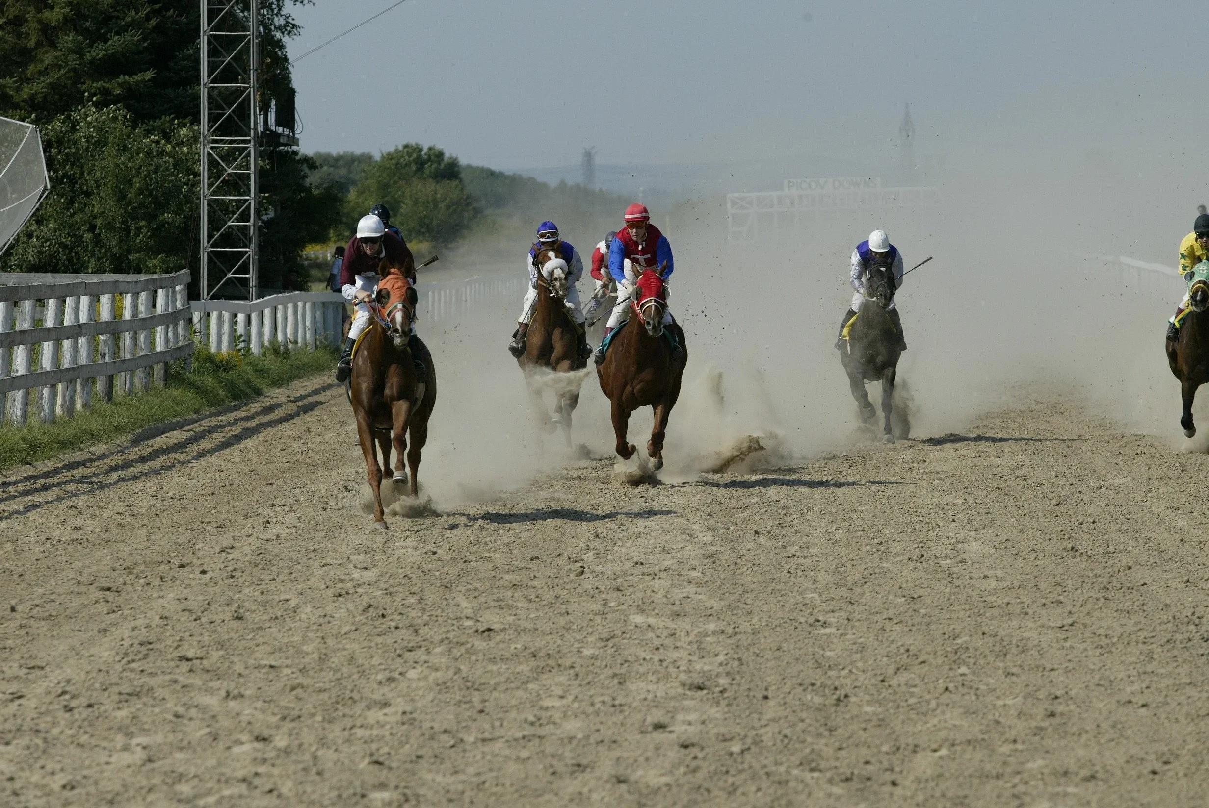 Horse+Racing.webp