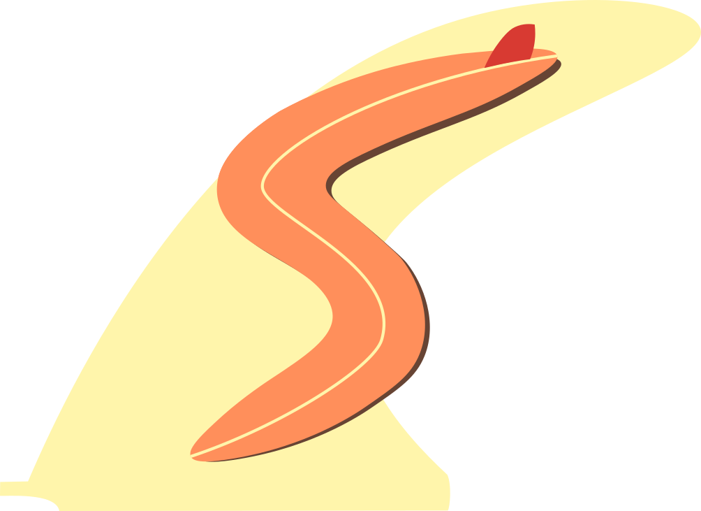 Swank Surfcraft