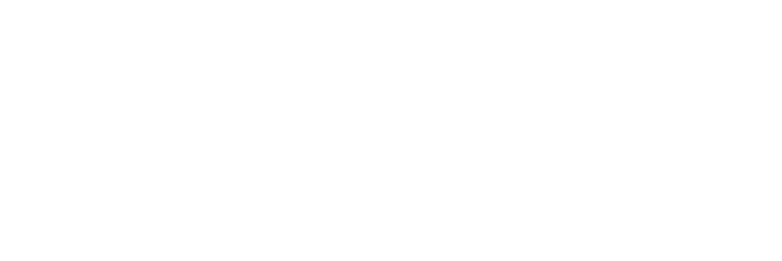 BLUSH MOBILE BAR