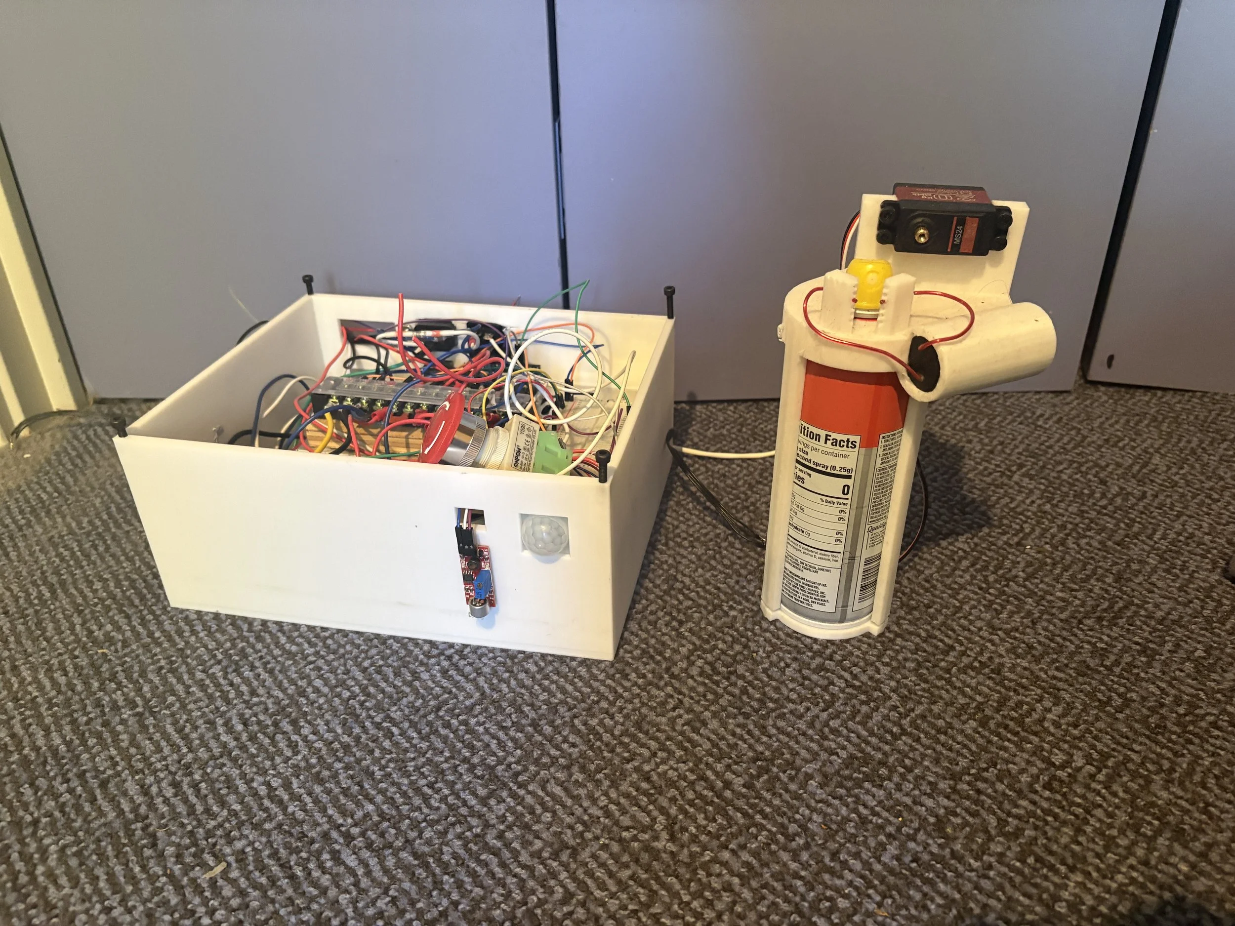 Security System