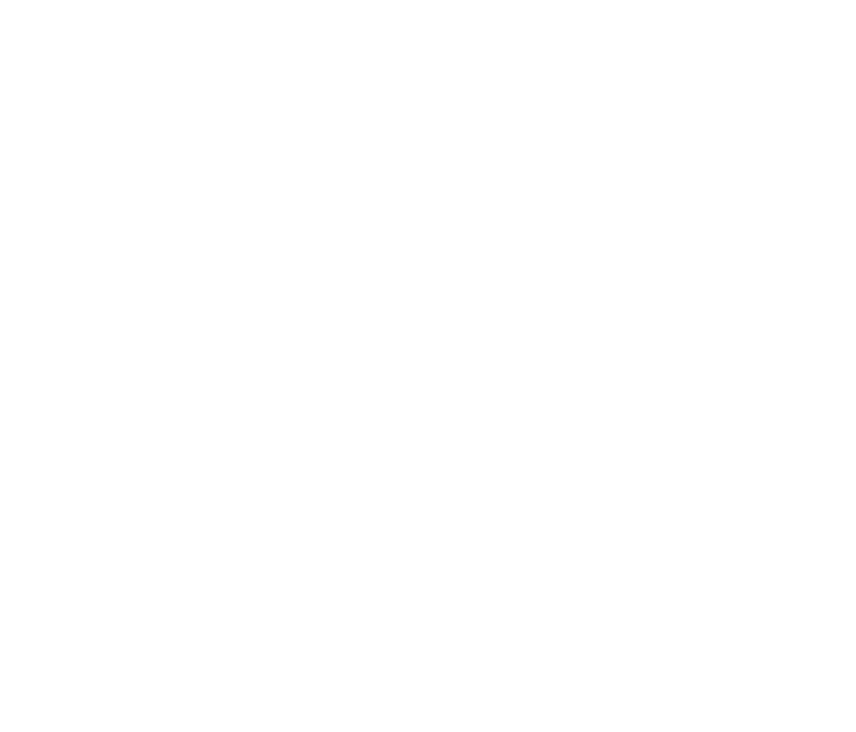 Matt Ley