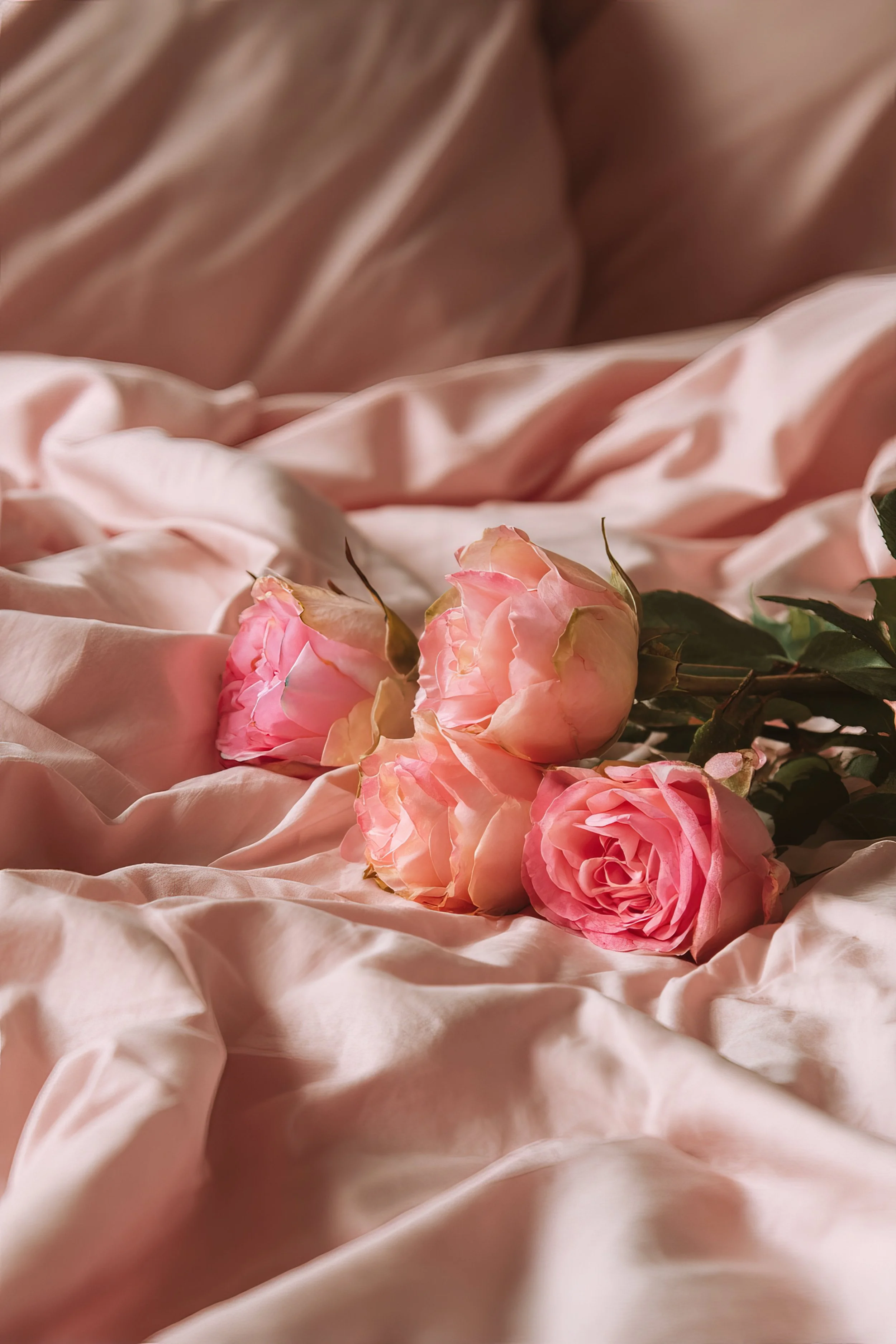 Pink roses lying on light pink satin fabric