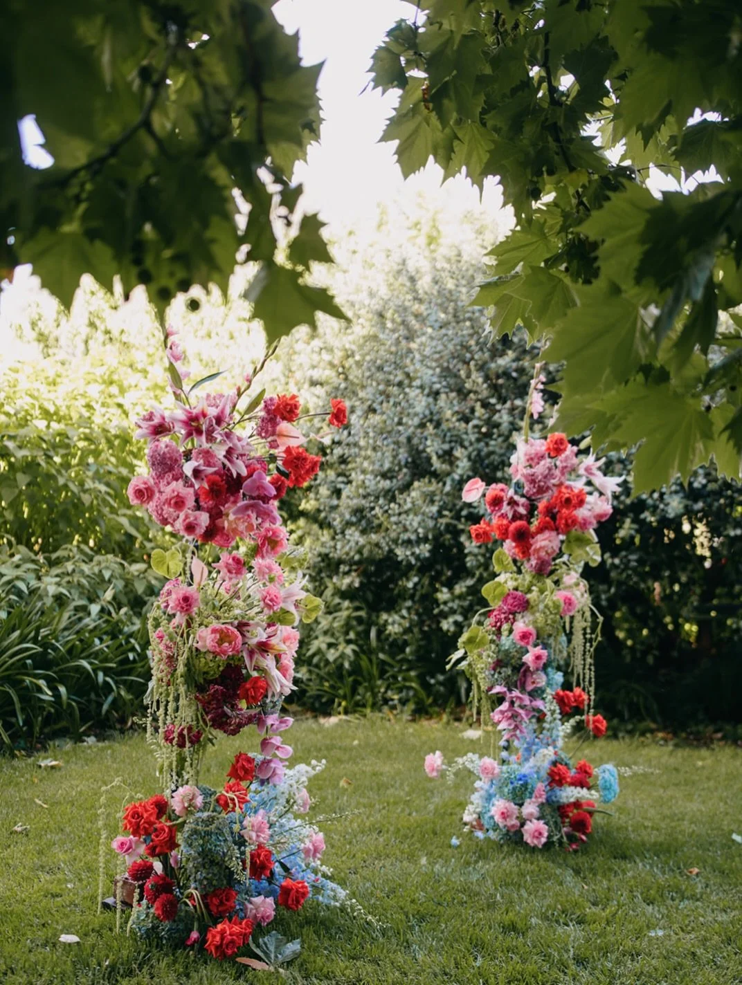 These two still stop me in my tracks every time I look back at them. Red, pink, blue, all tumbling down like they&rsquo;re growing straight out of the ground.

If only you knew the weather we had that day &mdash; sun, torrential rain, wind, the lot. 