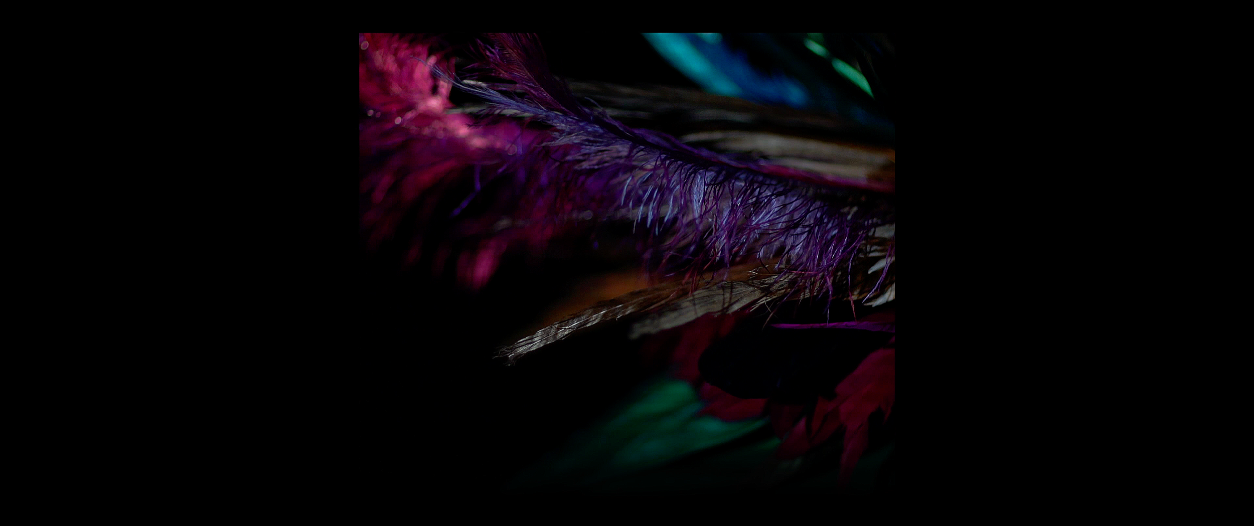 Screenshot+2021-12-09+at+17.57.09.png