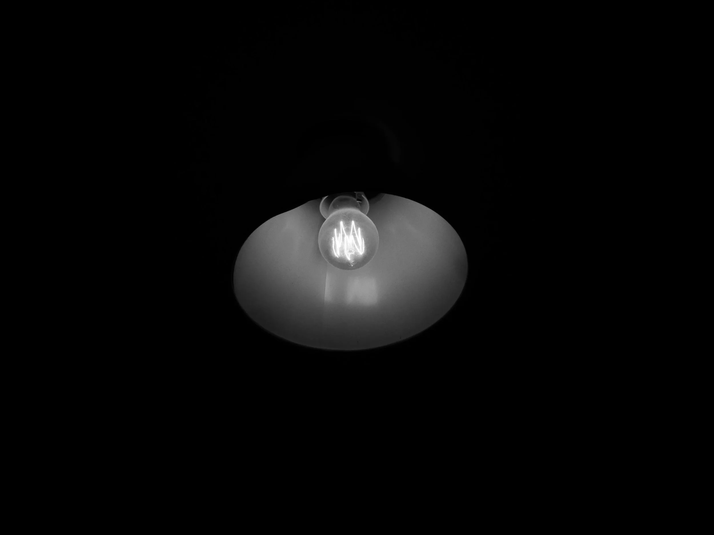 P1012731.JPG
