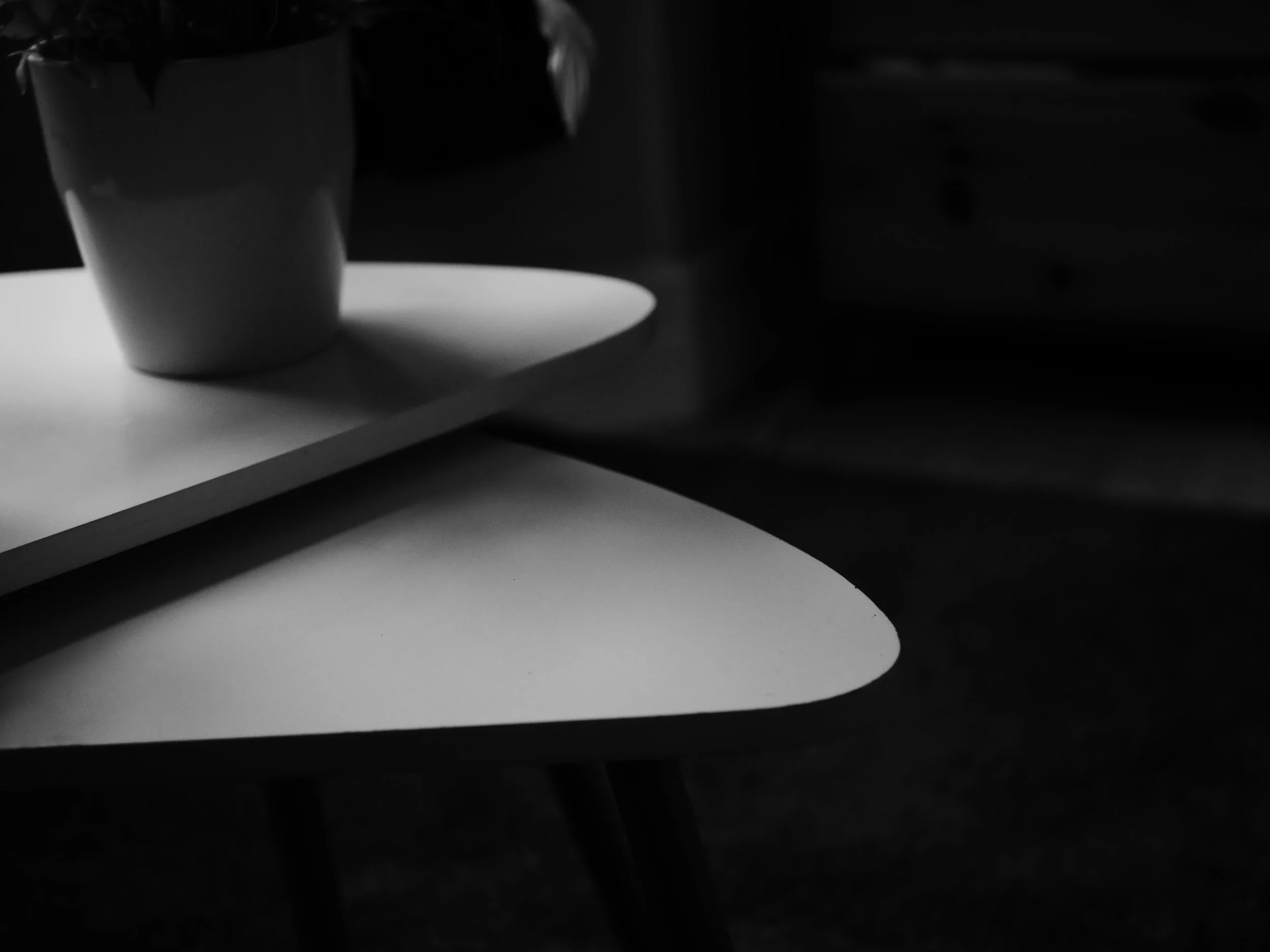 P1012680.JPG