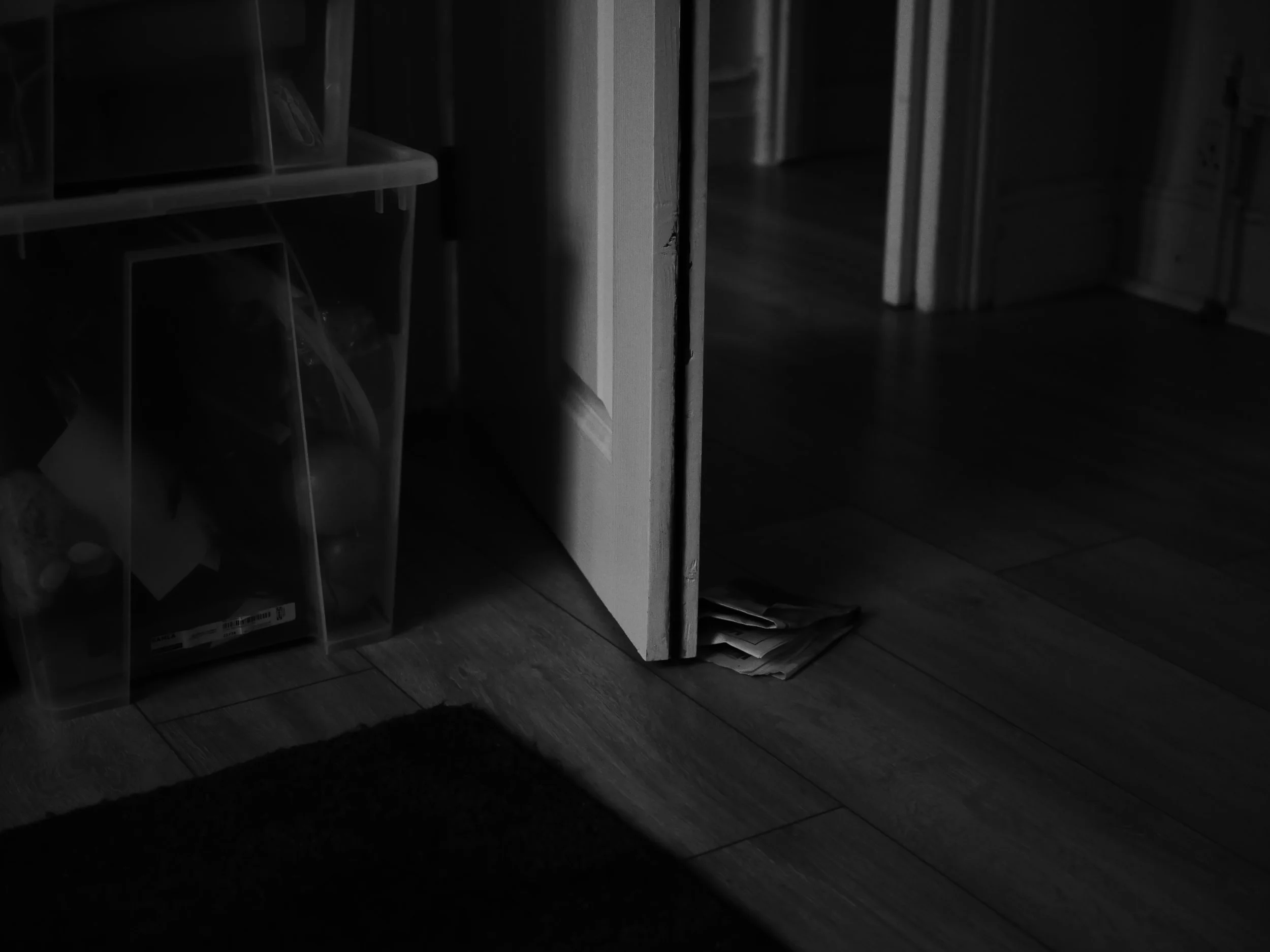 P1012675.JPG
