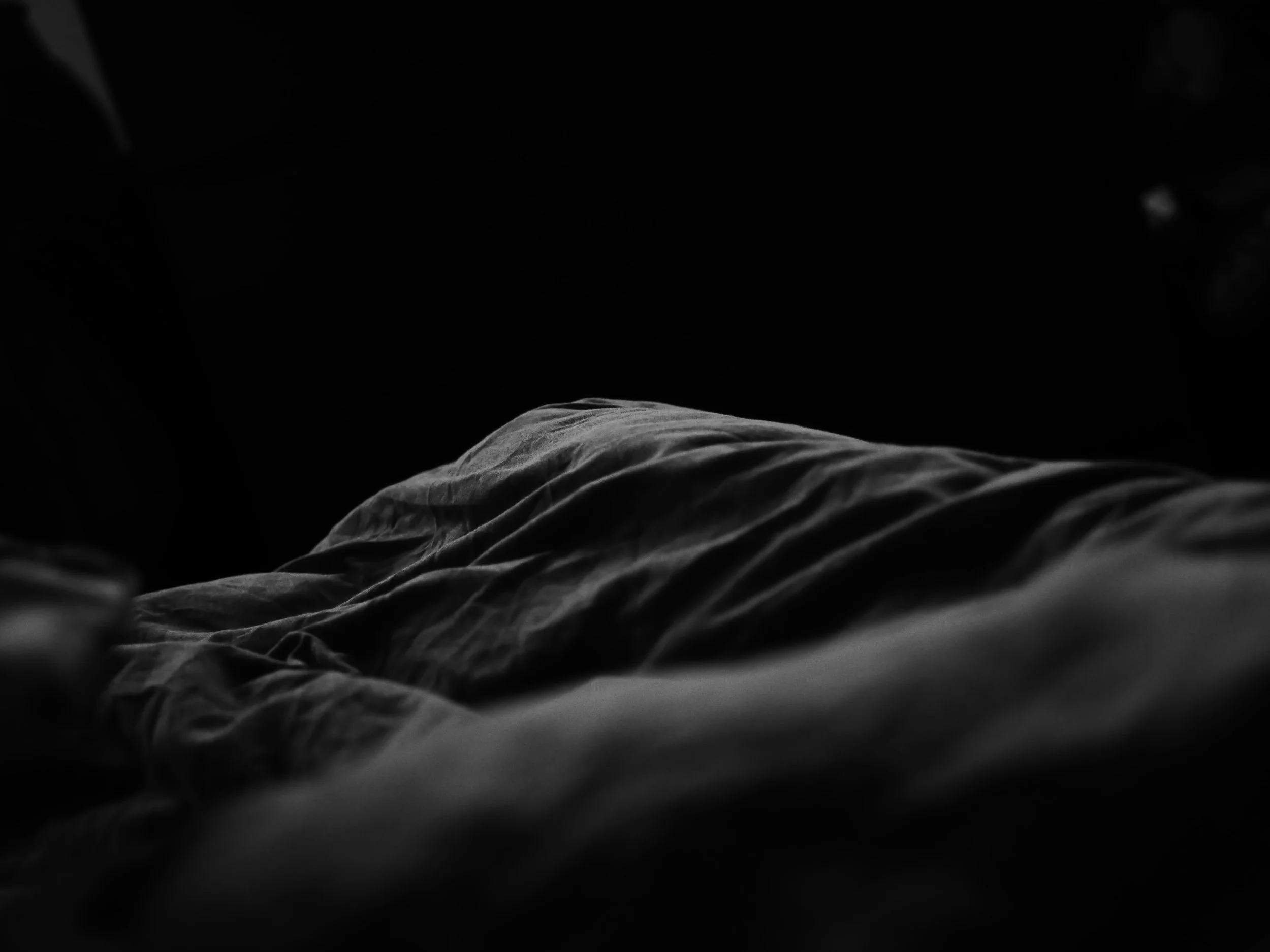 P1012774.JPG