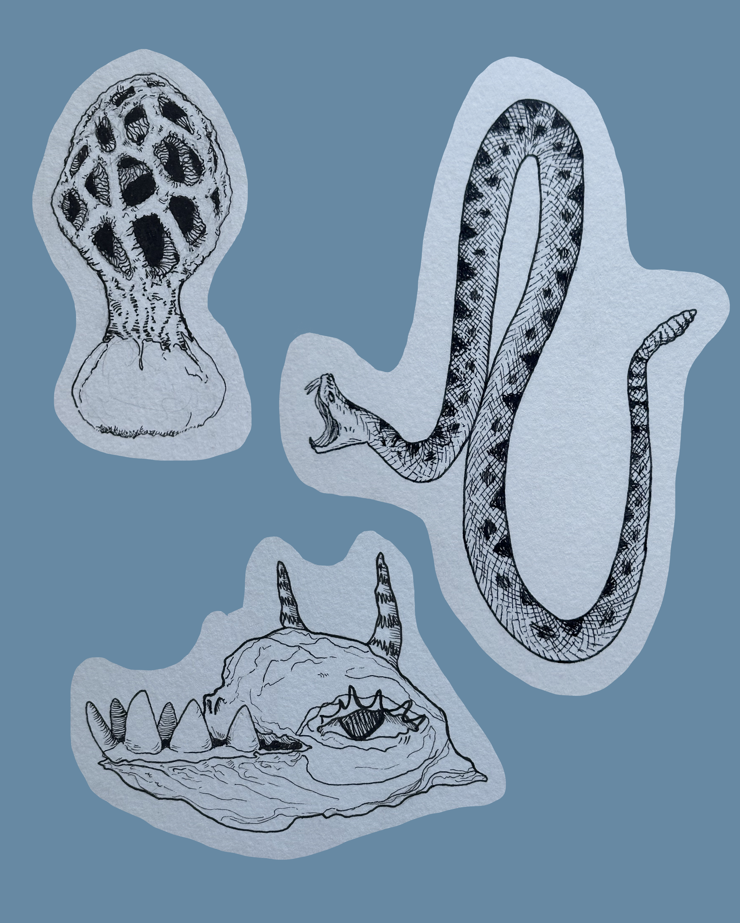 Untitled_Artwork (14).png