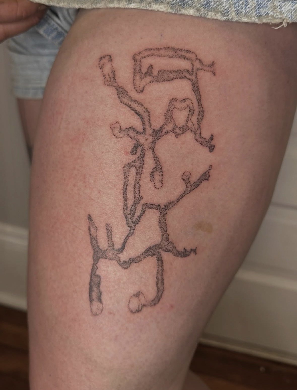IMG_2007.jpeg