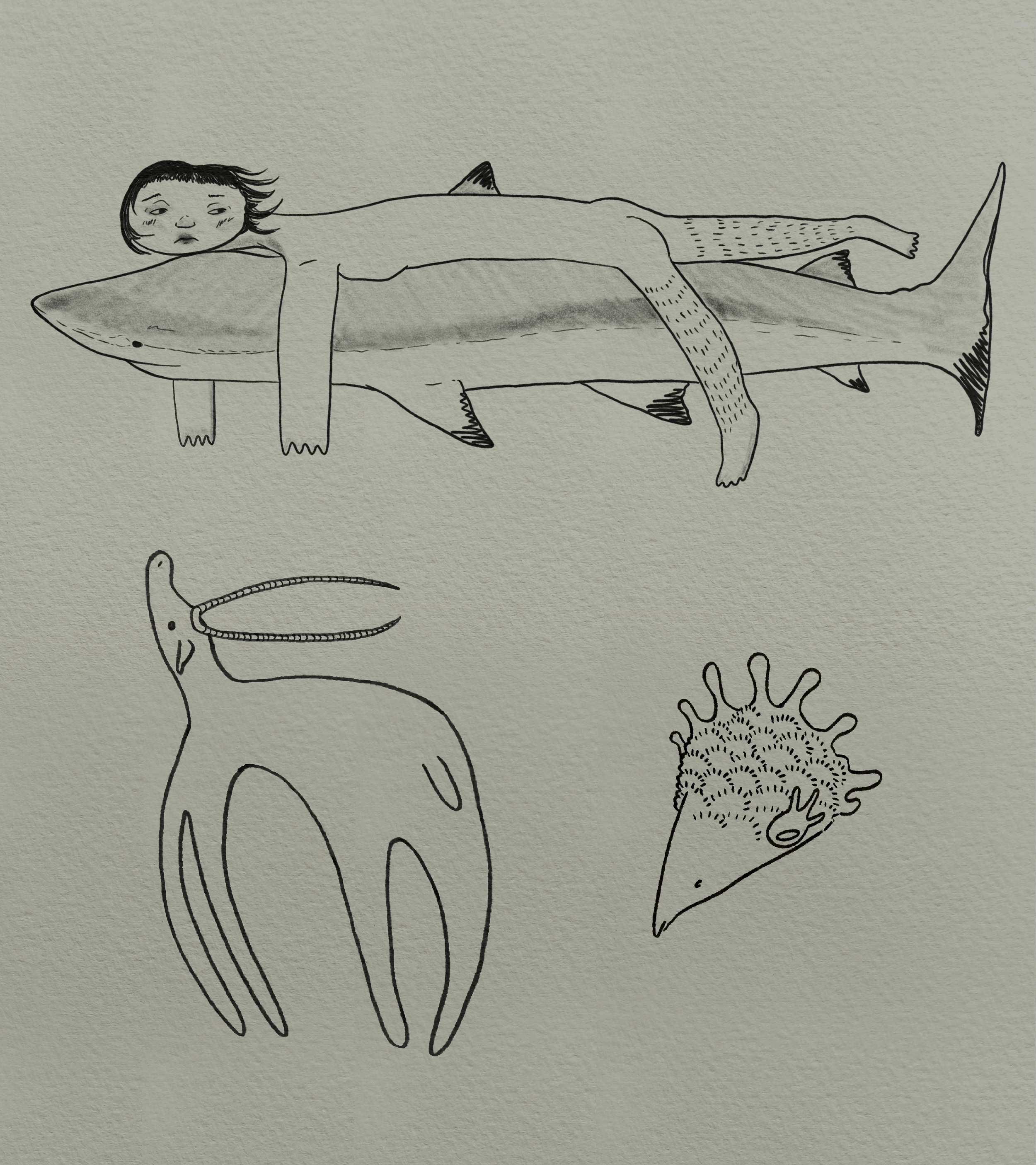 IMG_1252.png