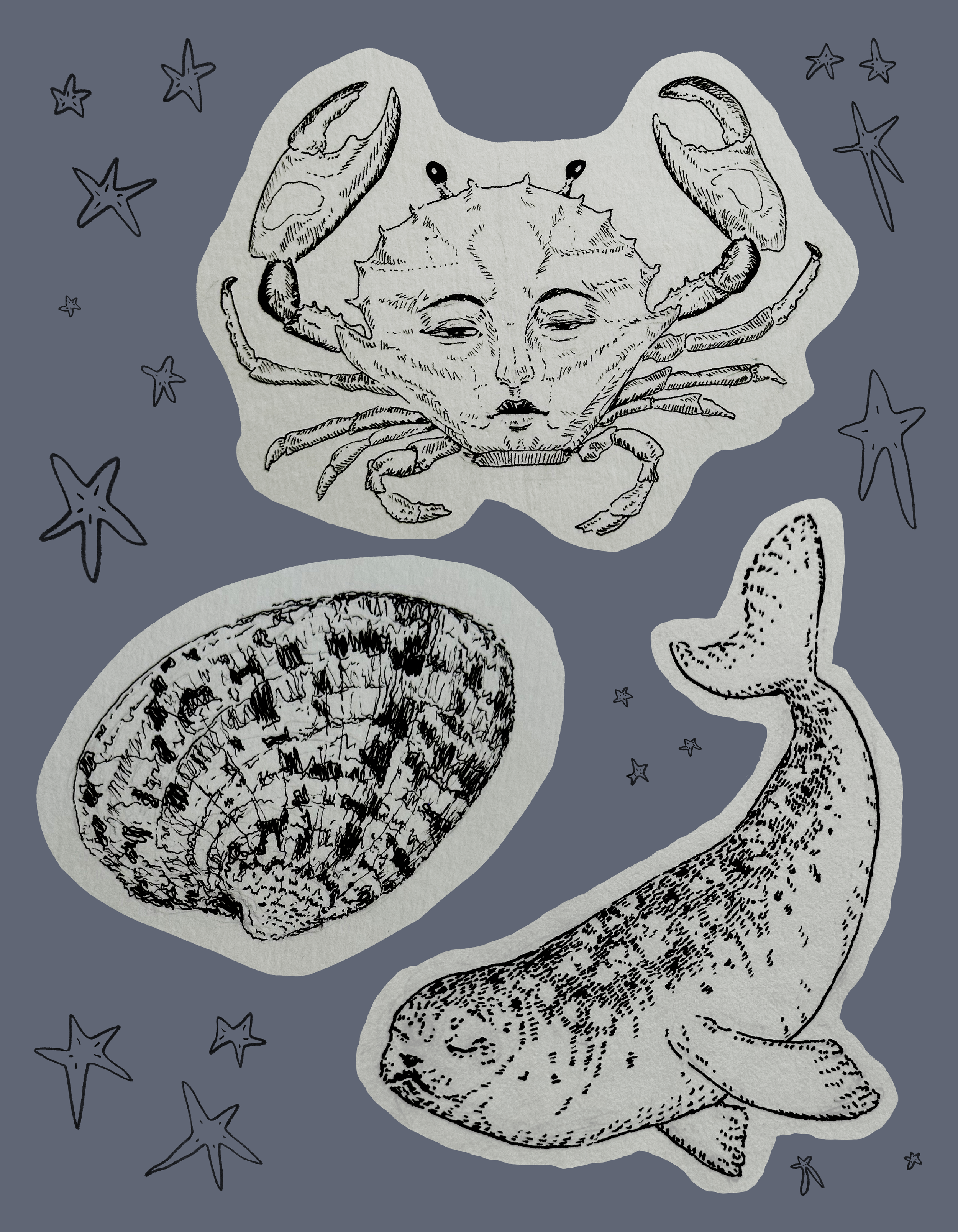 Untitled_Artwork (16).PNG
