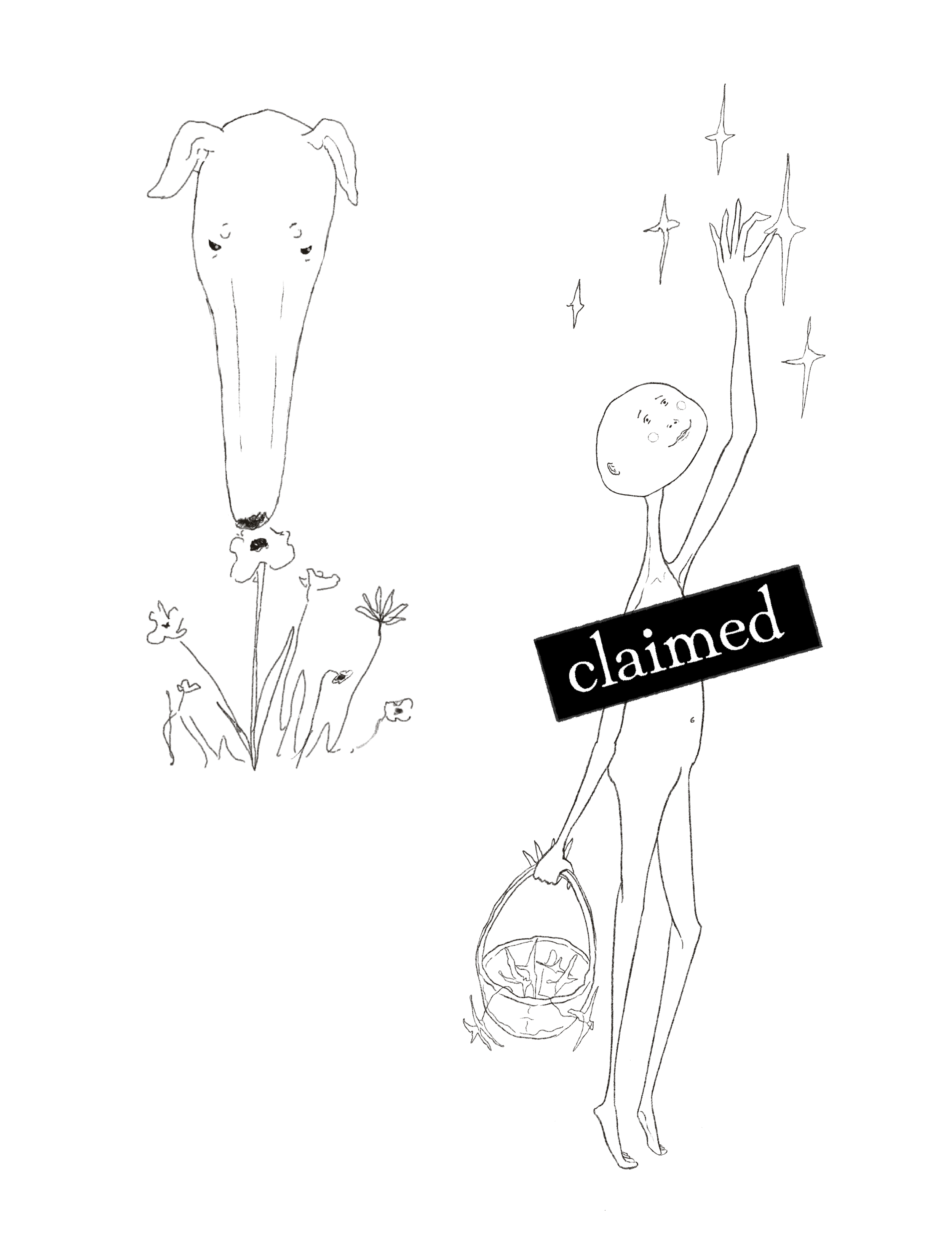 IMG_1268.png