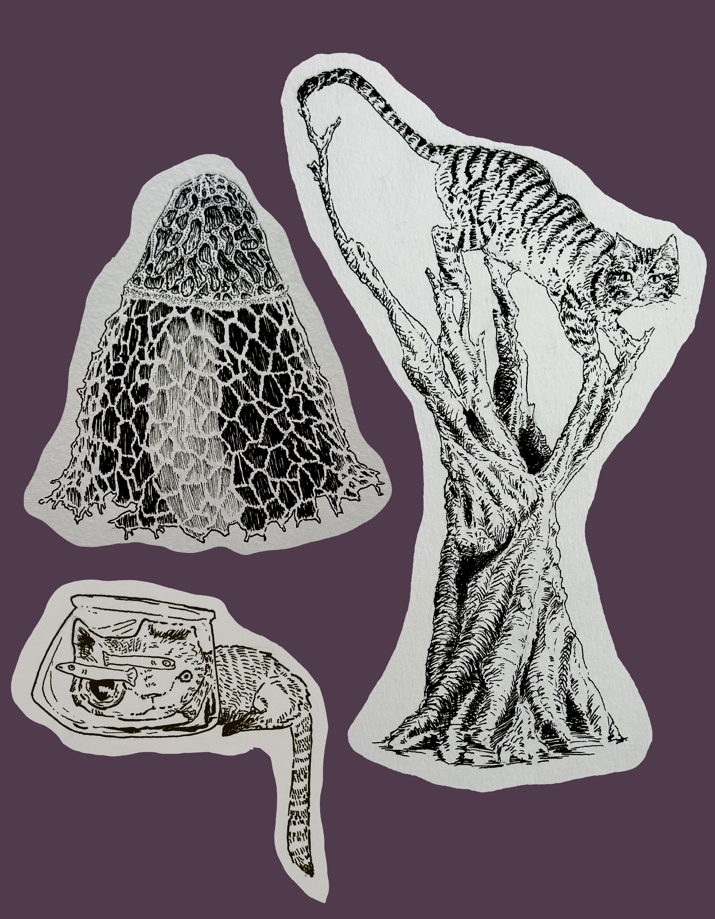 Untitled_Artwork (18).PNG