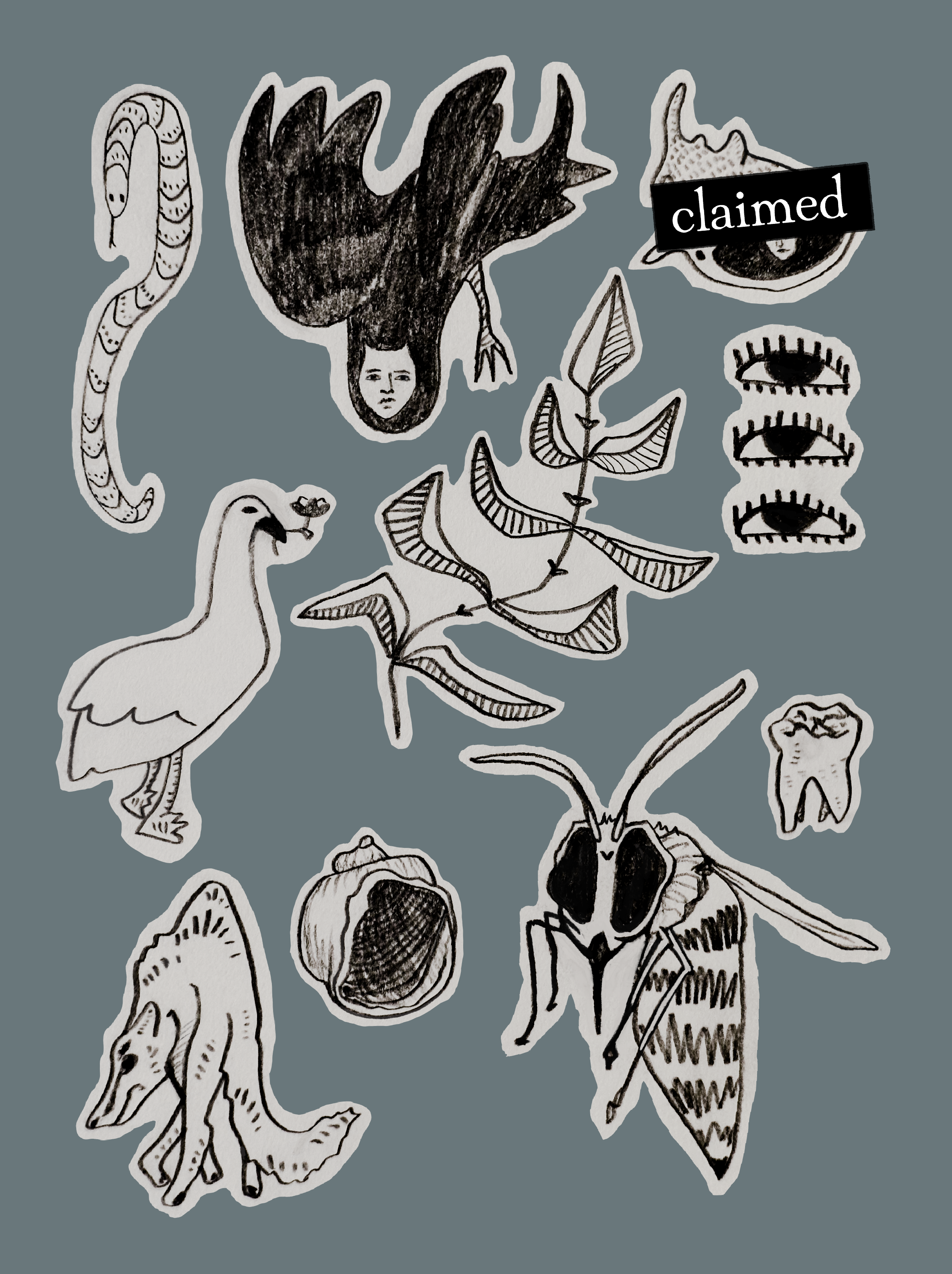 Untitled_Artwork (19).PNG
