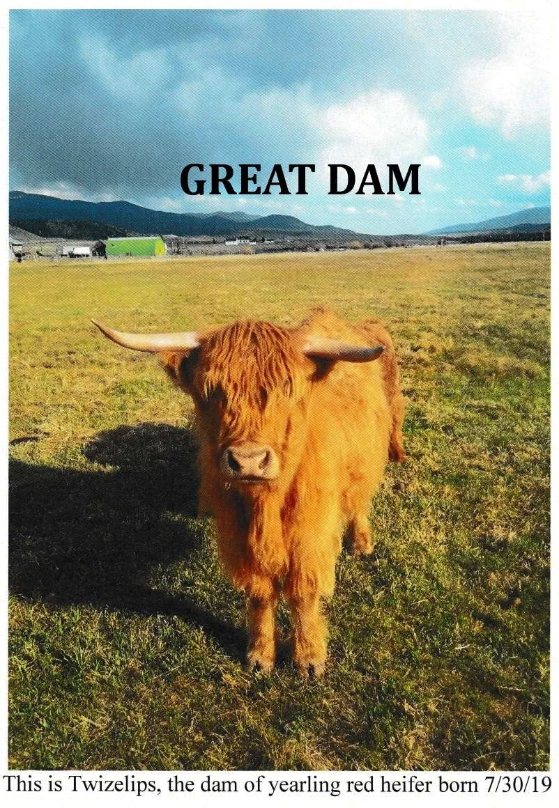 #3 GREAT Dam.jpg