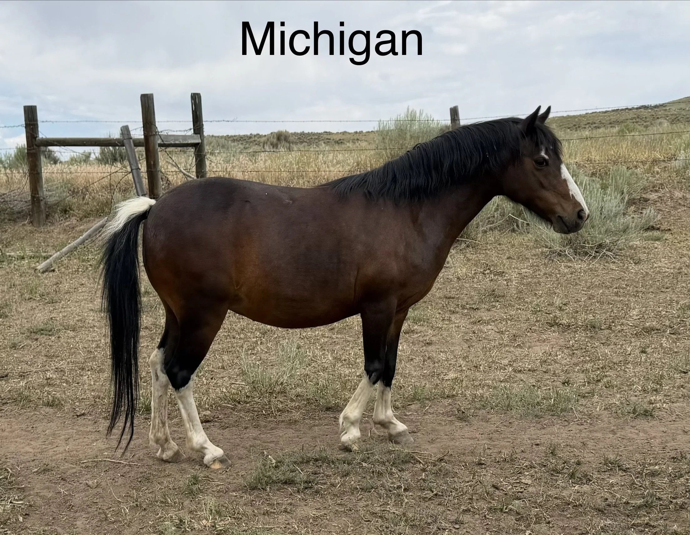 Michigan