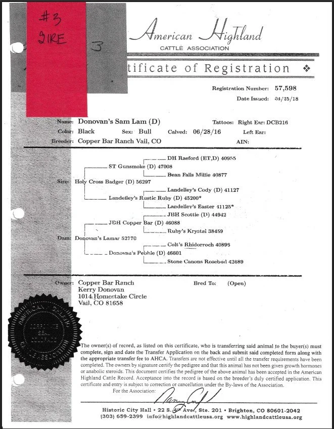 3 Certificate.jpg (Copy)