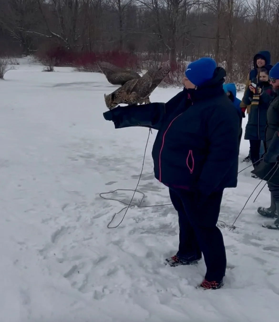A person standing on snow holding a large owl that is in mid-flight, with a group of people watching in the background.
