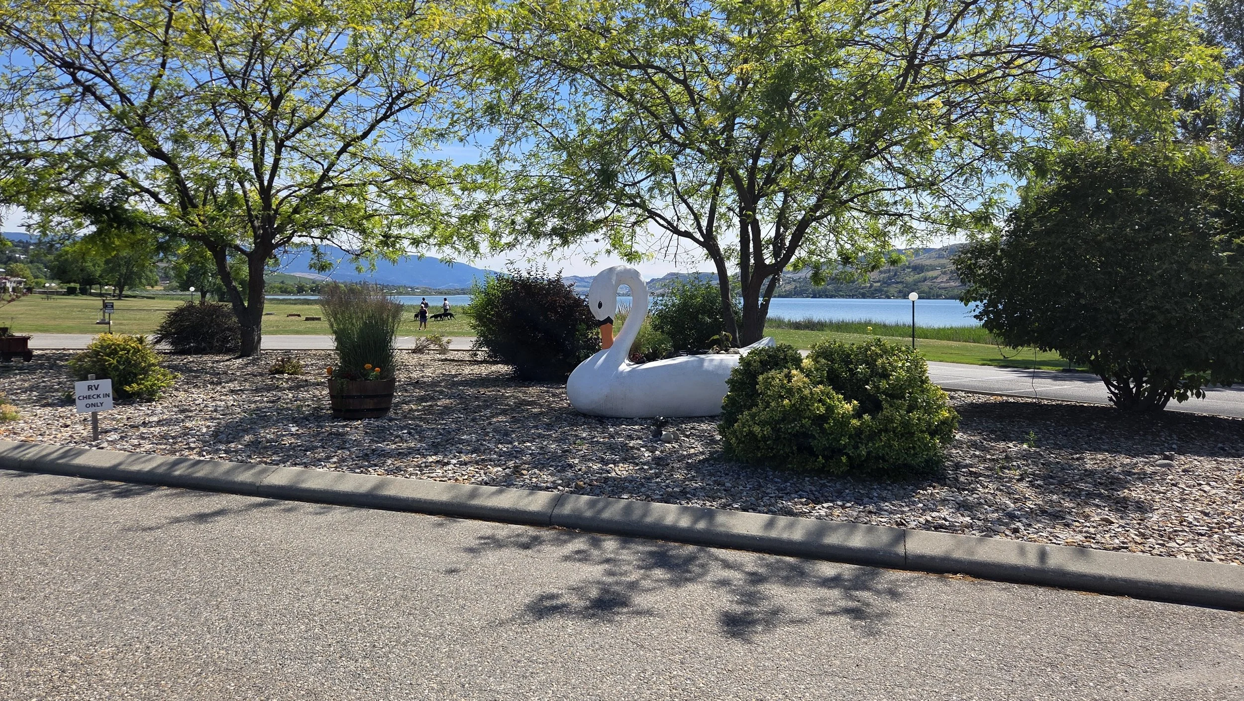 A view of Swan Lake RV Resort's "island" in front of the office with our swan mascot.