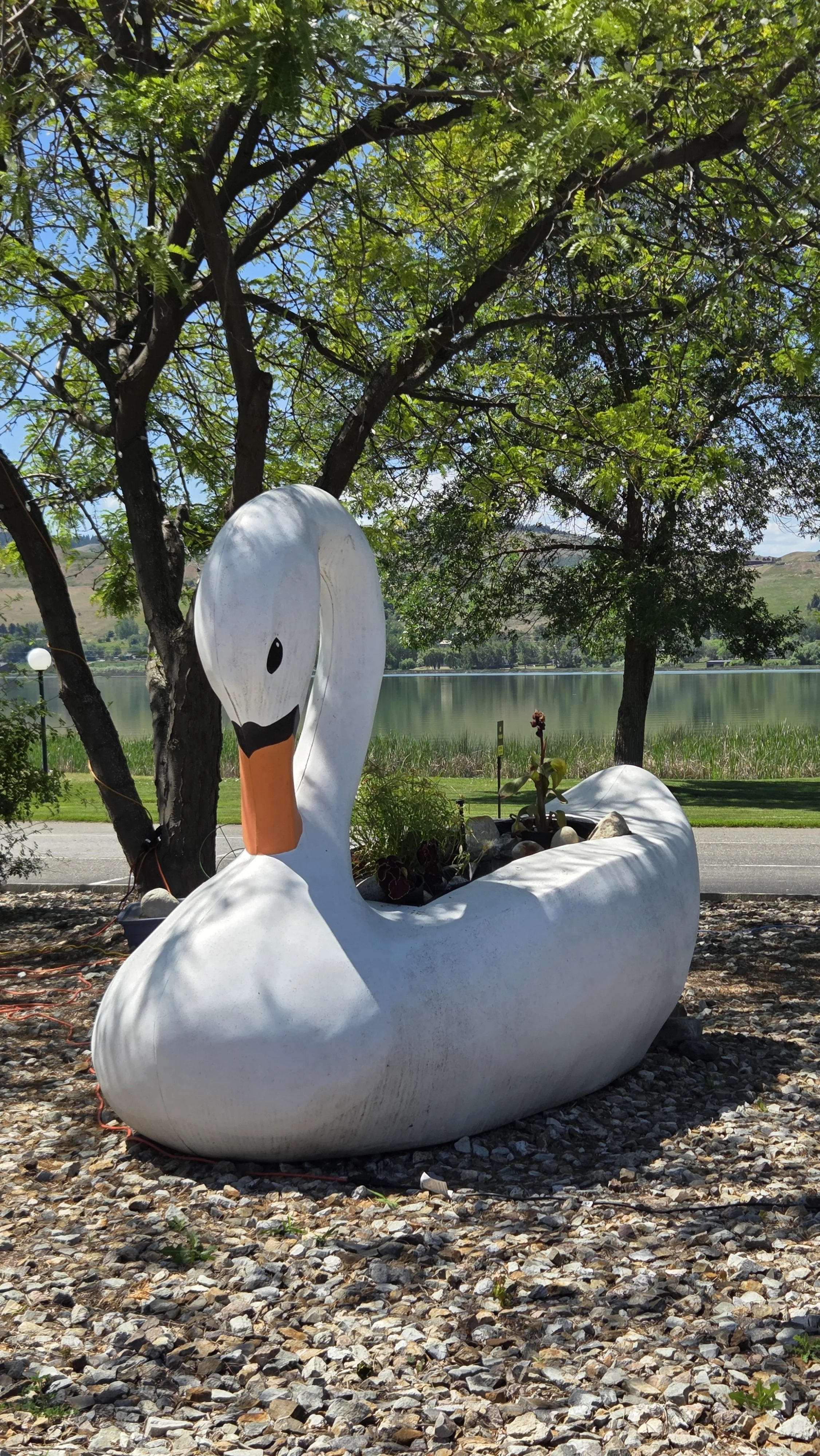 Swan Lake RV Resort's mascot.