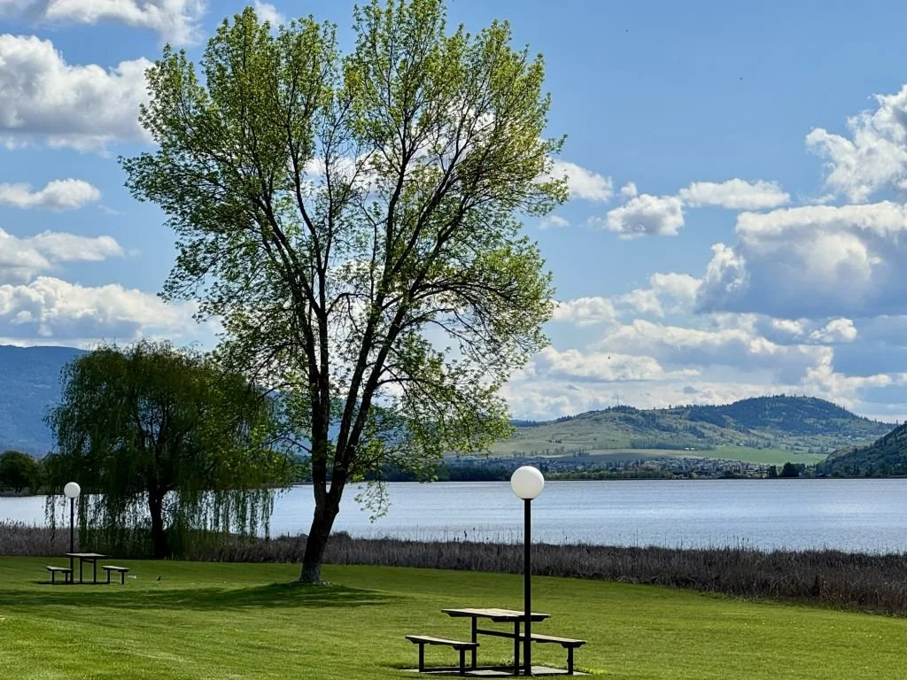 Swan Lake RV Resort scenic lakeside lawn view.