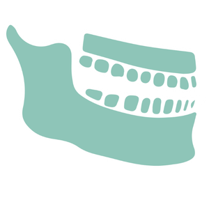 Illustration of a set of dental molds or dental models in mint green and light gray colors.