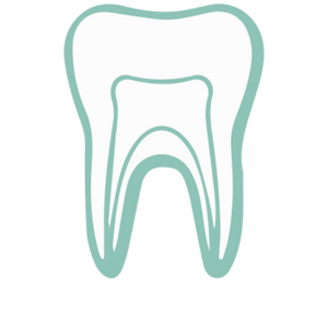 A tooth illustration with layered sections, including enamel, dentin, and pulp