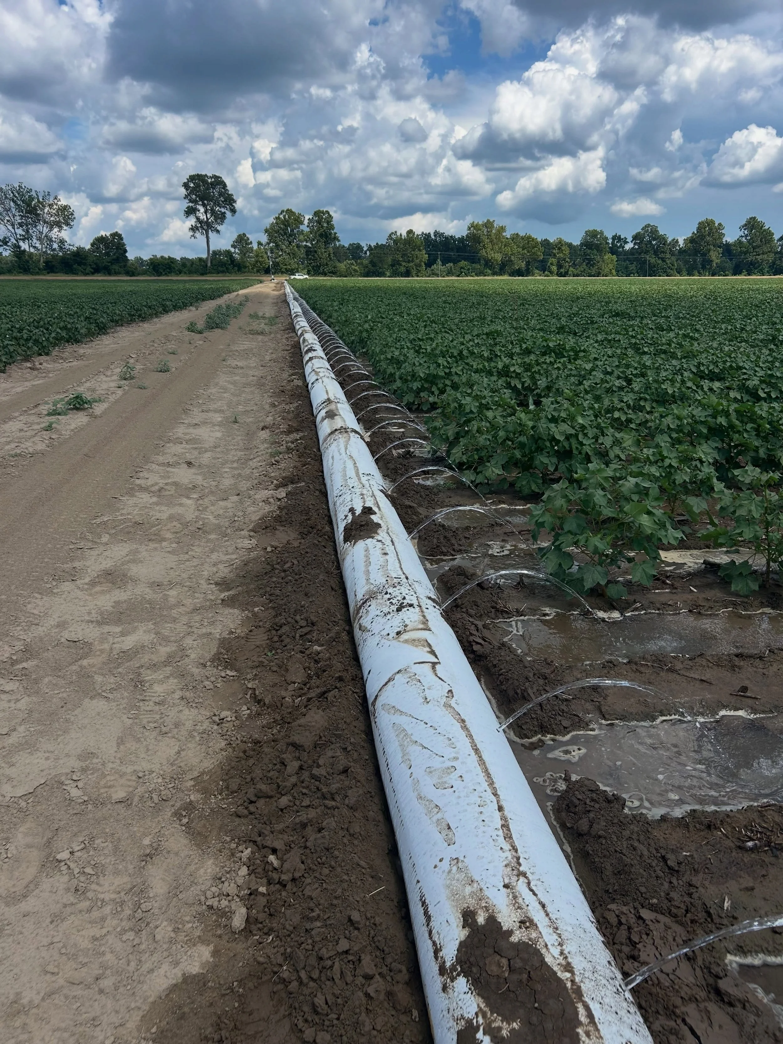 Check out some of the pictures from our latest Poly Punch installation in the Mississippi Delta
