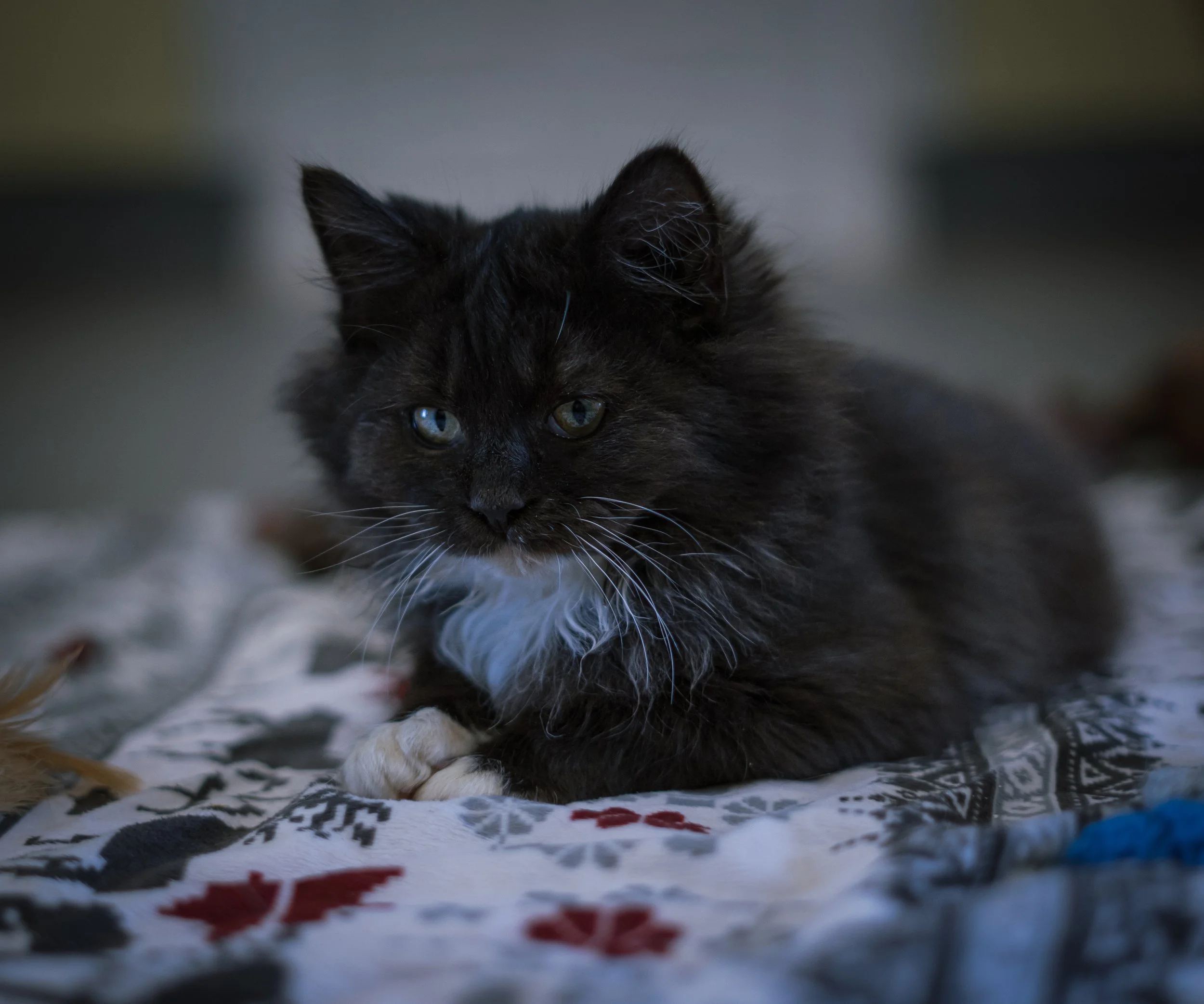 DSC03045-Edit.jpg