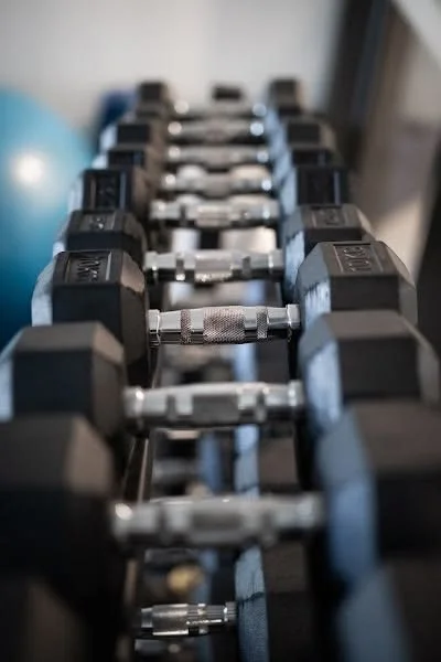 A row of black and gray adjustable dumbbells on a rack in a fitness gym.