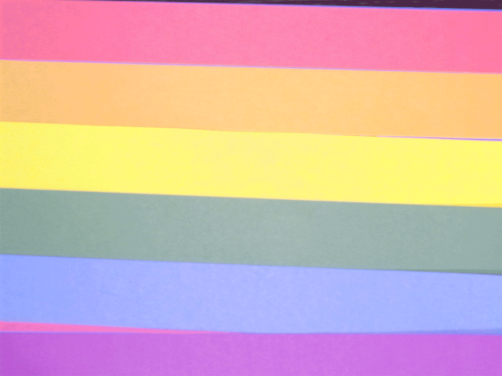 A Queer Visual History