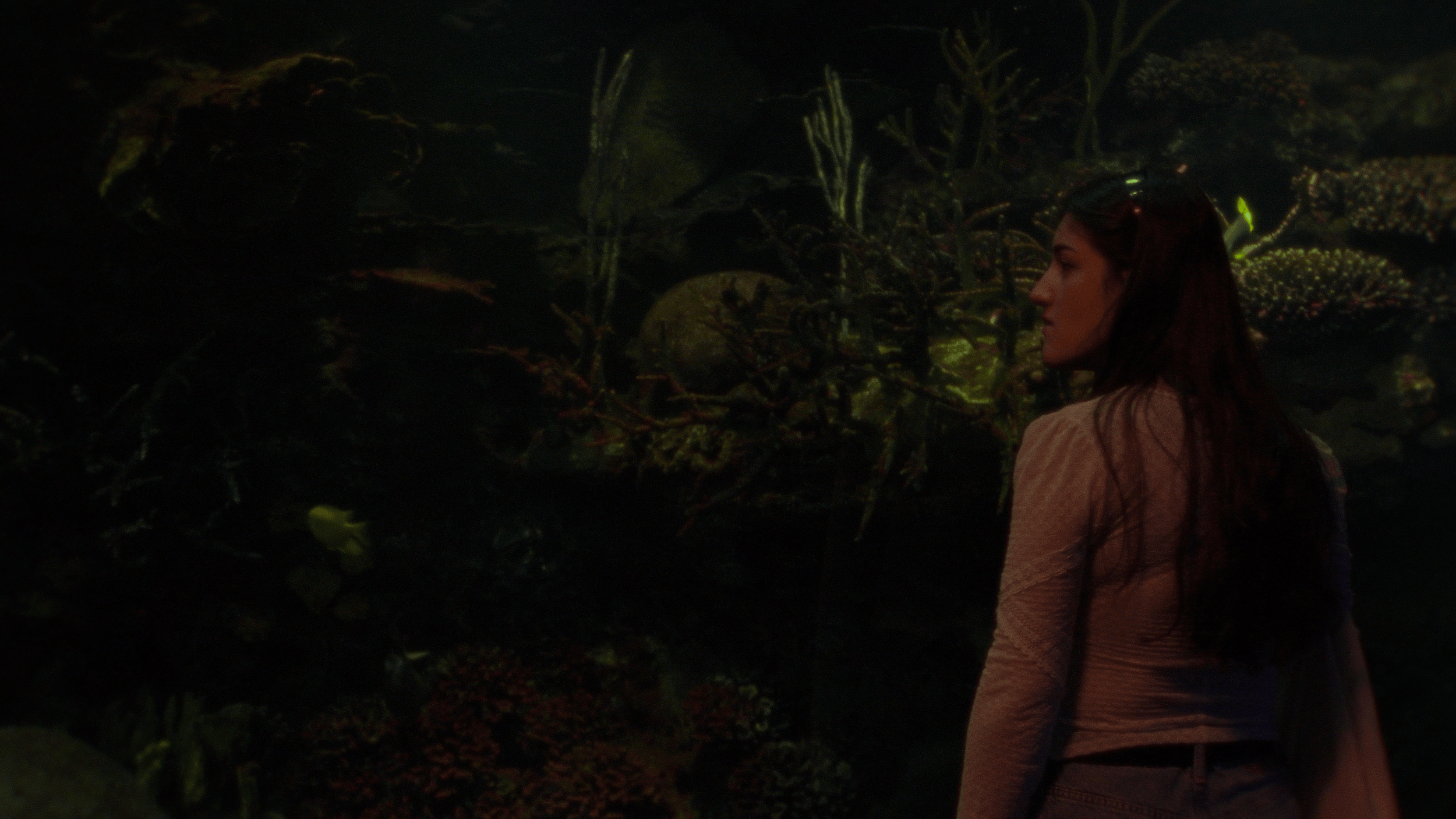 A woman with long brown hair and sunglasses on her head, standing sideways, in a dark environment with lush greenery and foliage around her.