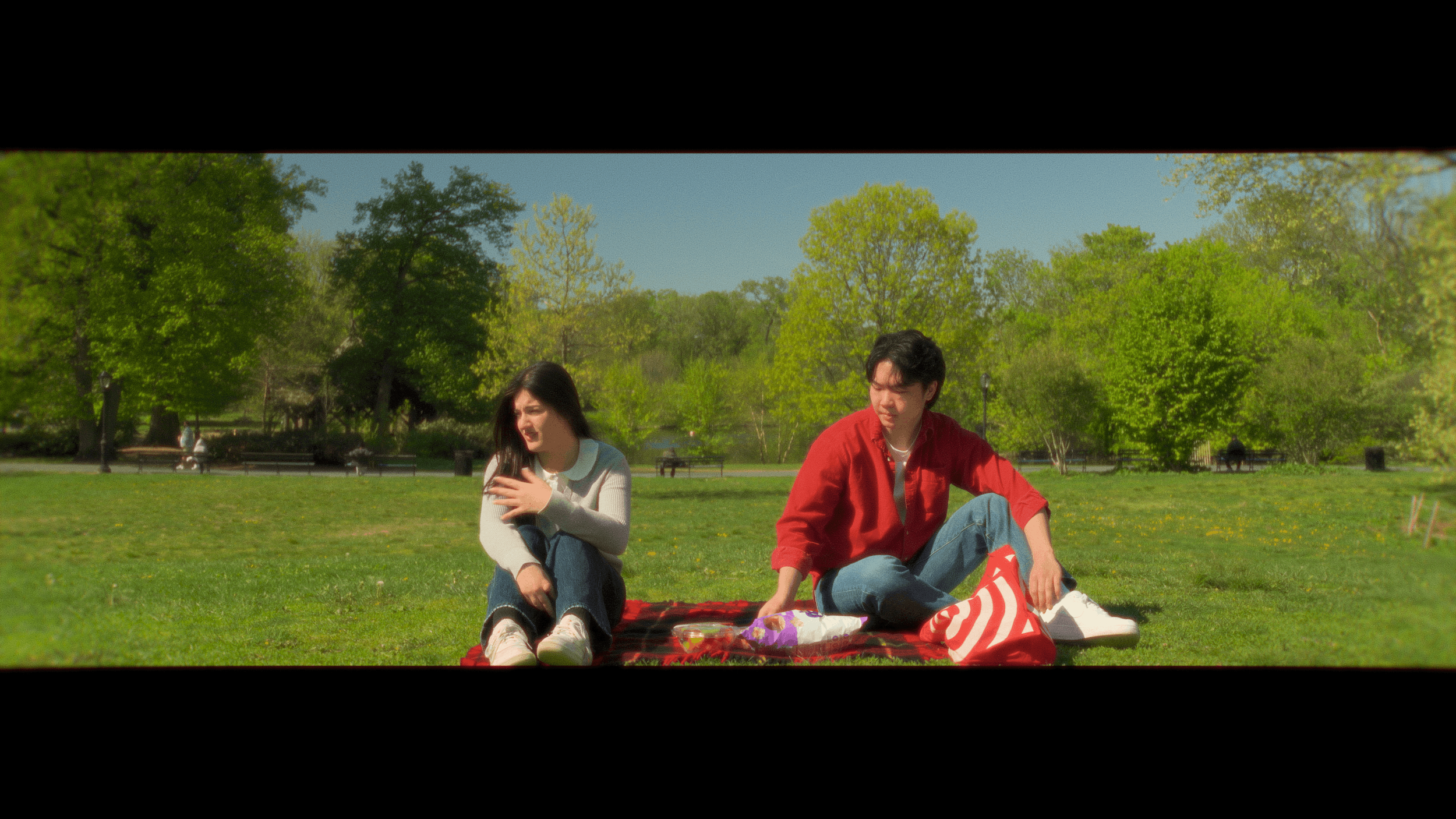 Two young people sitting on a blanket in a park with green trees and clear blue sky in the background.