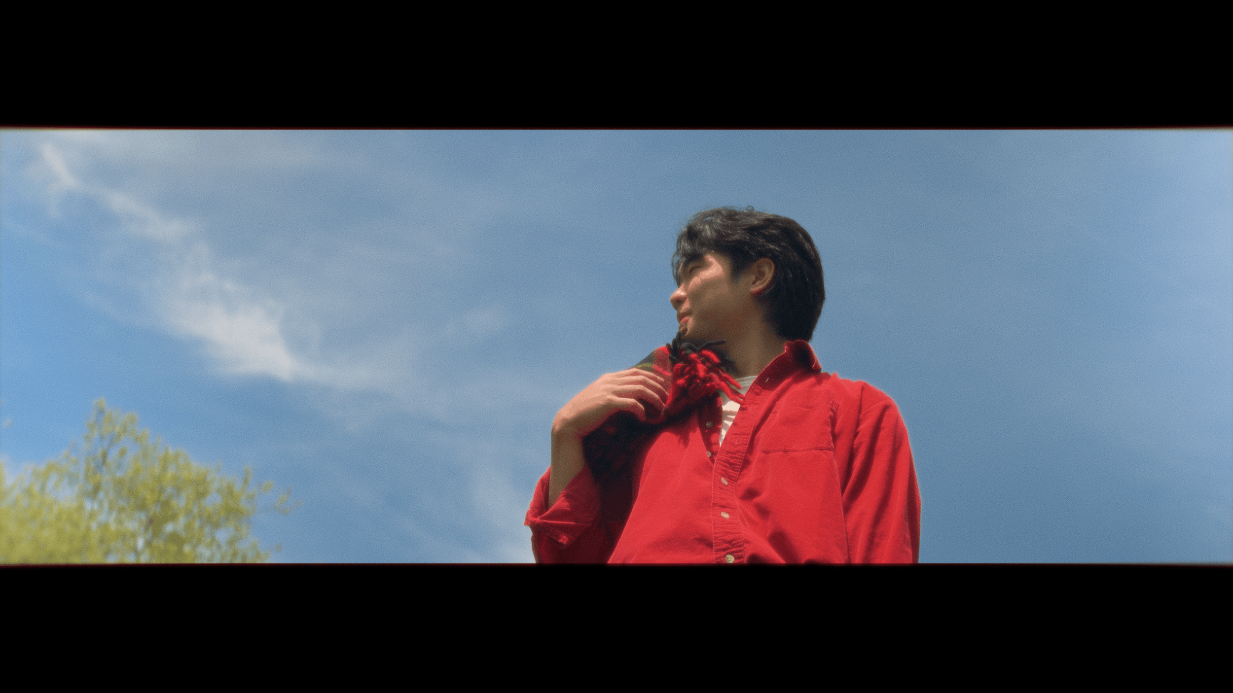 Young man with dark hair wearing a red jacket outdoors against blue sky with clouds and tree in background.